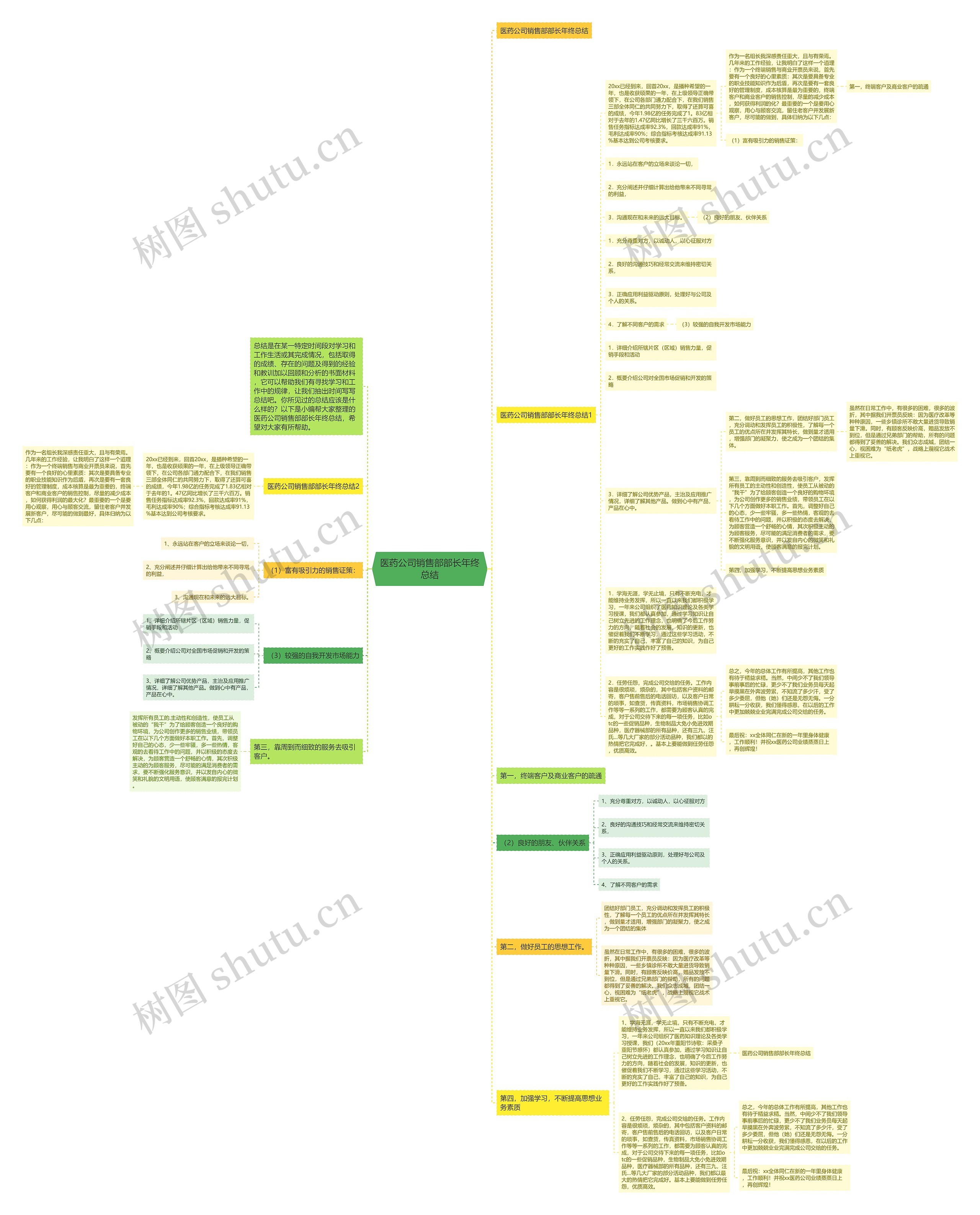 医药公司销售部部长年终总结思维导图