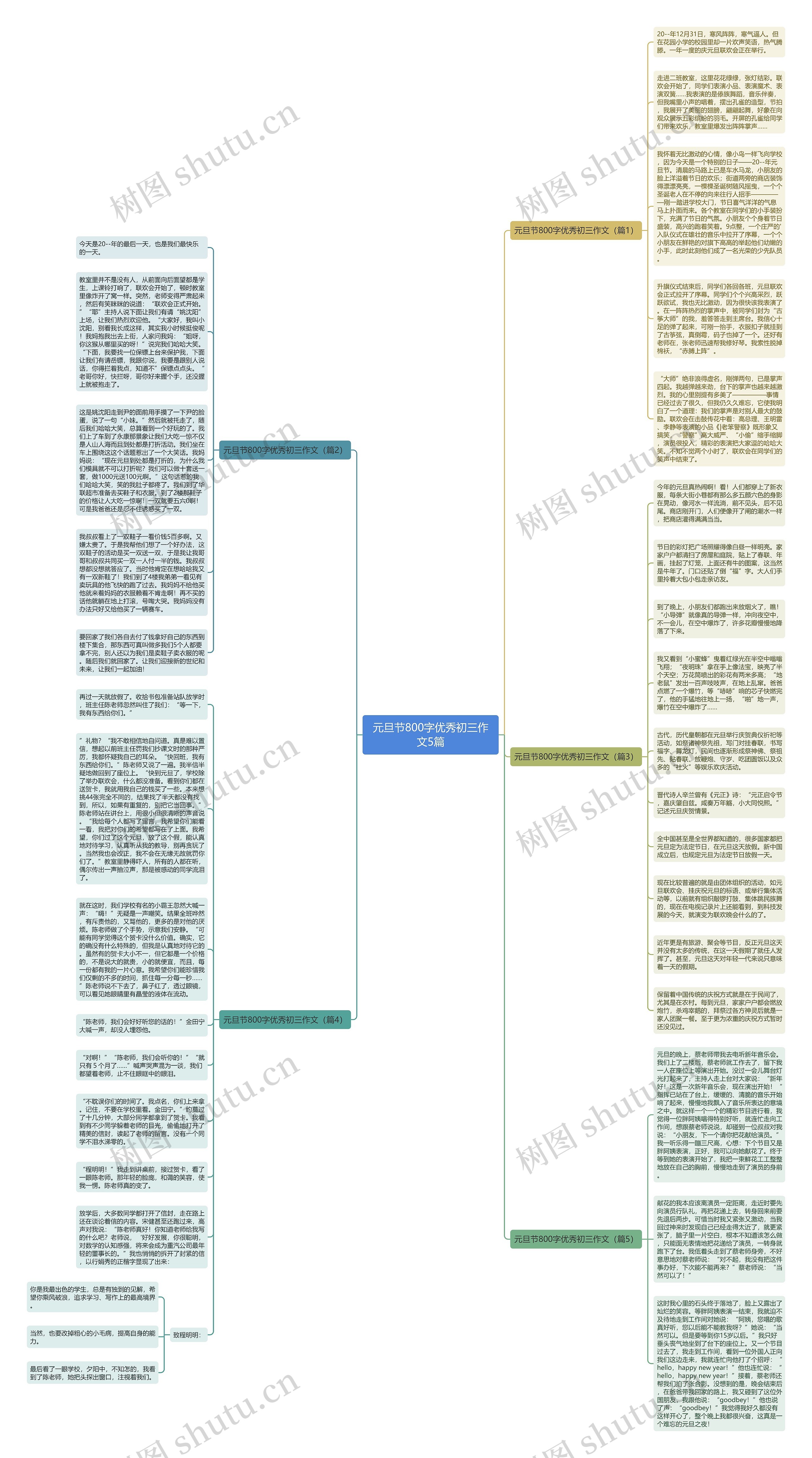 元旦节800字优秀初三作文5篇思维导图