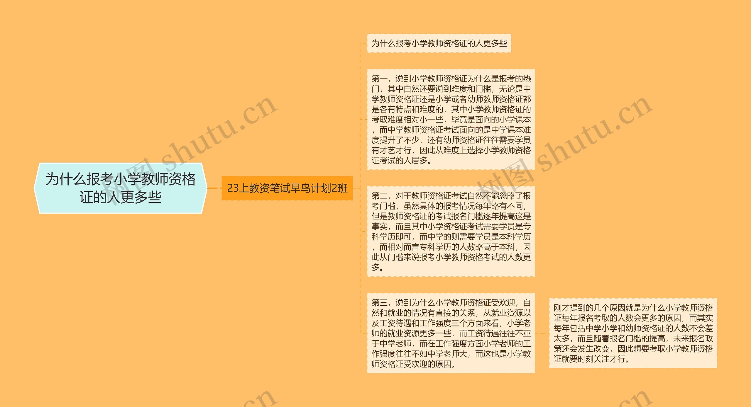 为什么报考小学教师资格证的人更多些思维导图