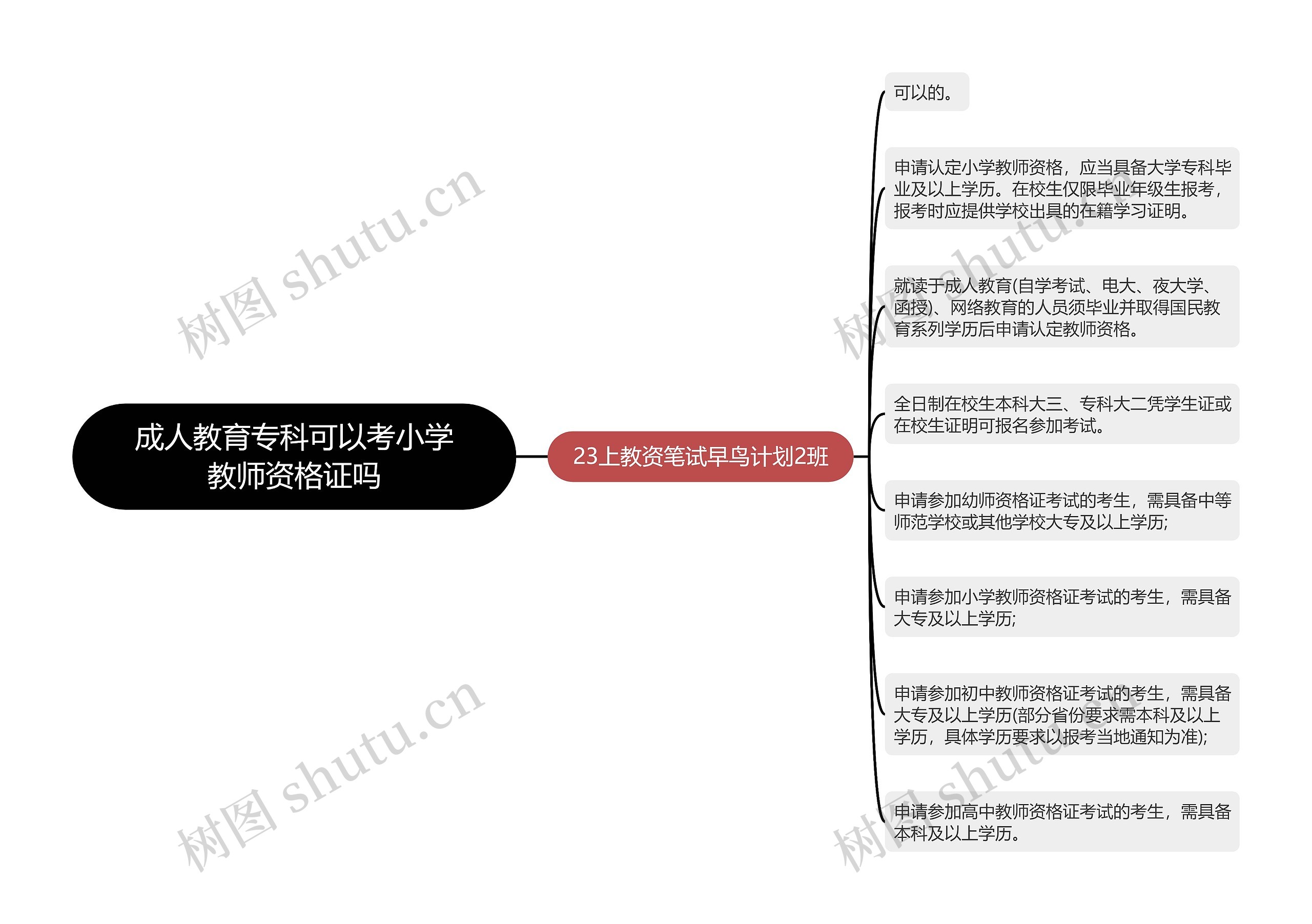 成人教育专科可以考小学教师资格证吗思维导图