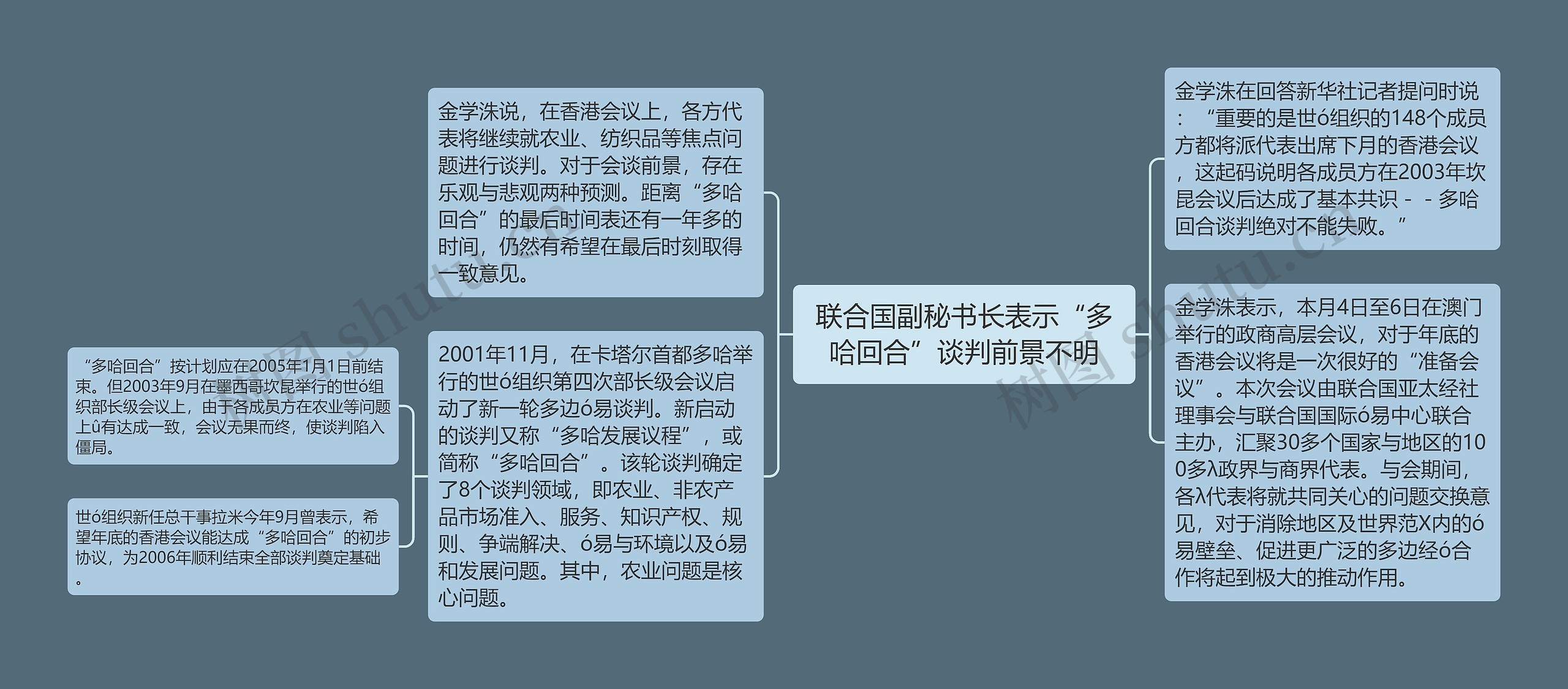 联合国副秘书长表示“多哈回合”谈判前景不明思维导图