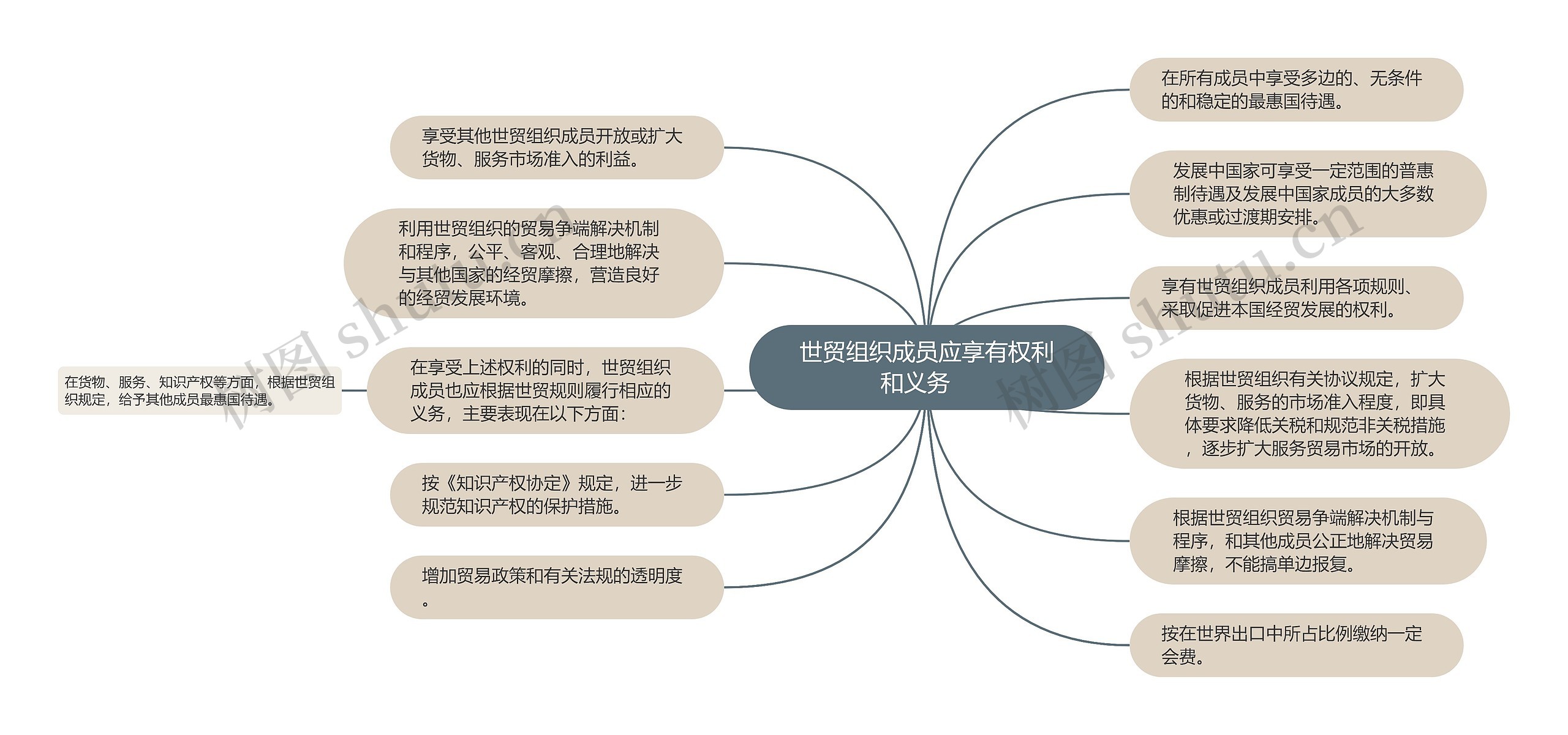 世贸组织成员应享有权利和义务　思维导图