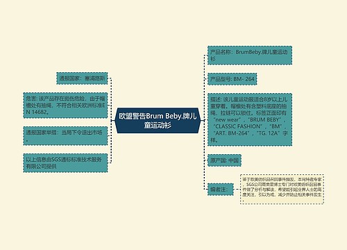 欧盟警告Brum Beby.牌儿童运动衫