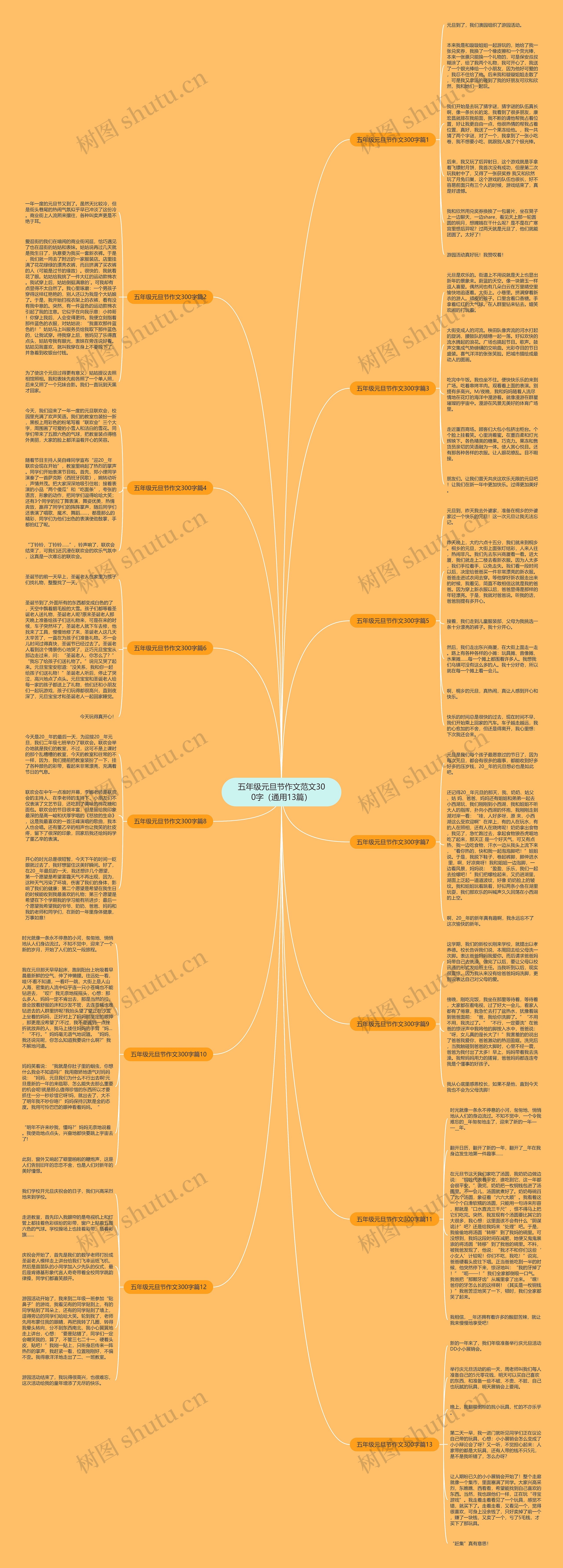 五年级元旦节作文范文300字（通用13篇）思维导图
