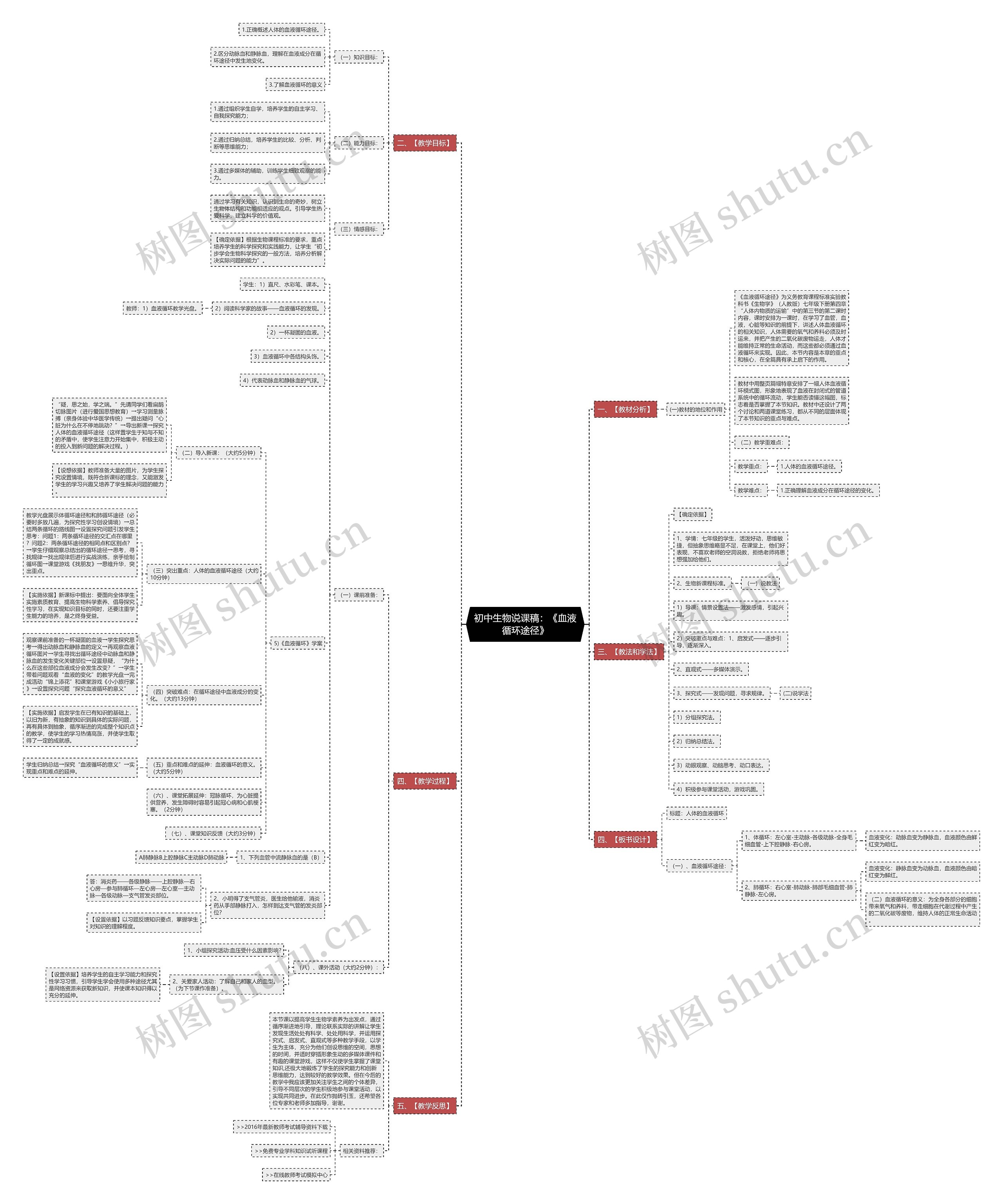 初中生物说课稿：《血液循环途径》思维导图