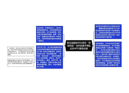 联合国副秘书长表示“多哈回合”谈判前景不明|||北京WTO事务信息