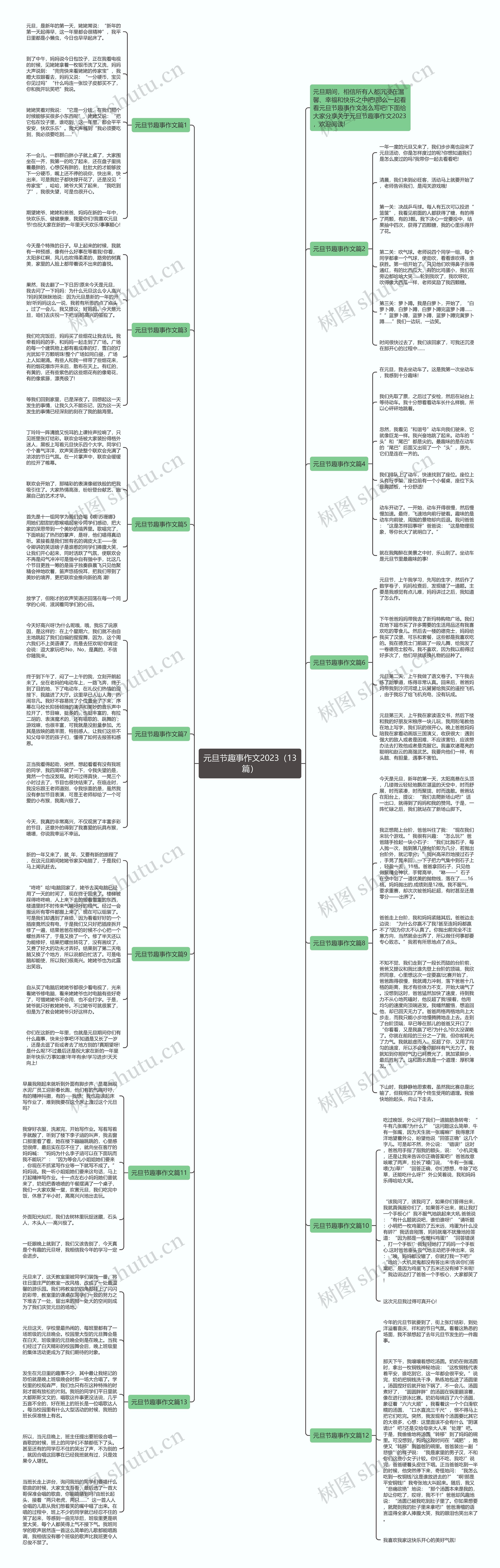 元旦节趣事作文2023（13篇）思维导图