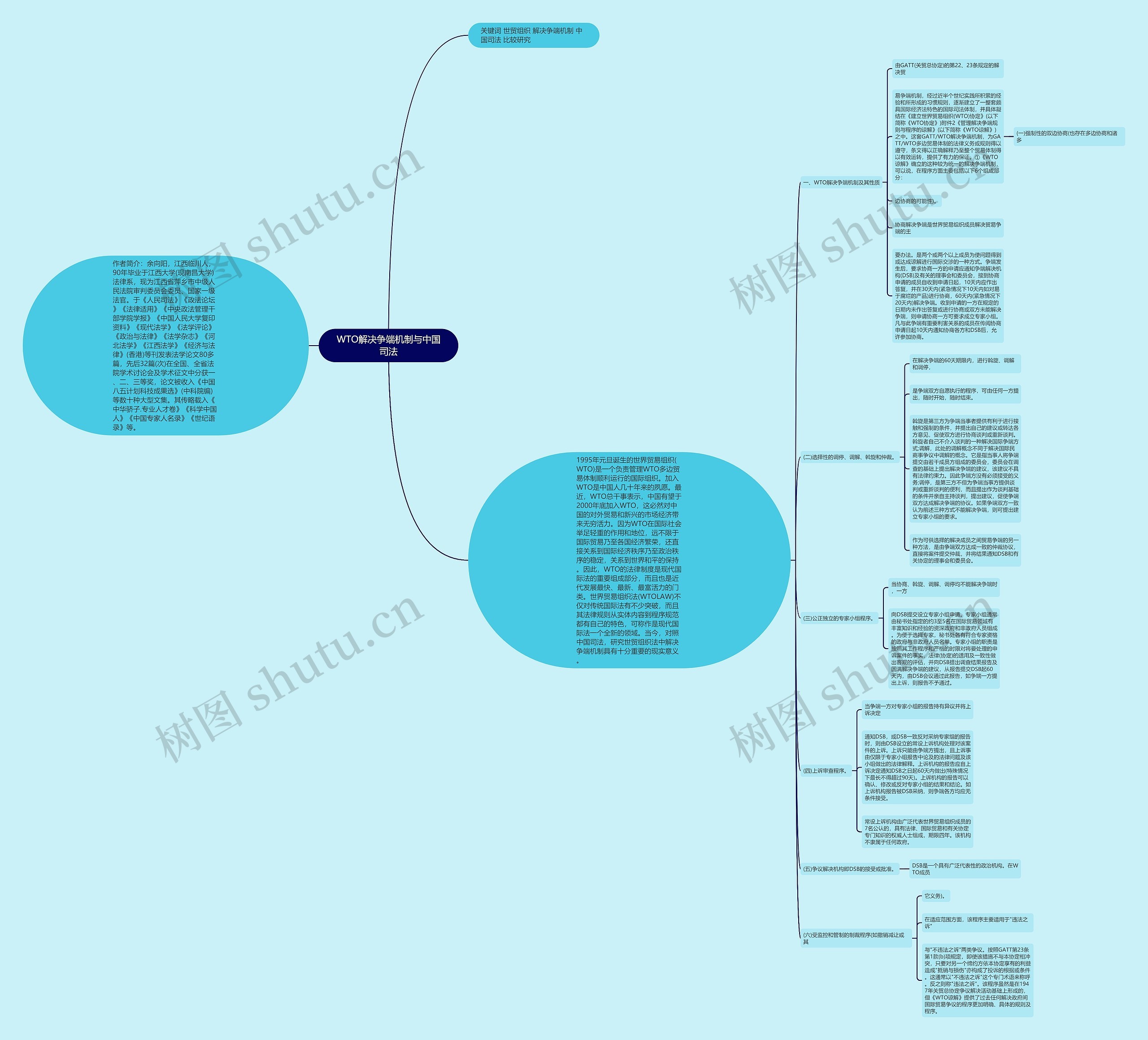 WTO解决争端机制与中国司法思维导图