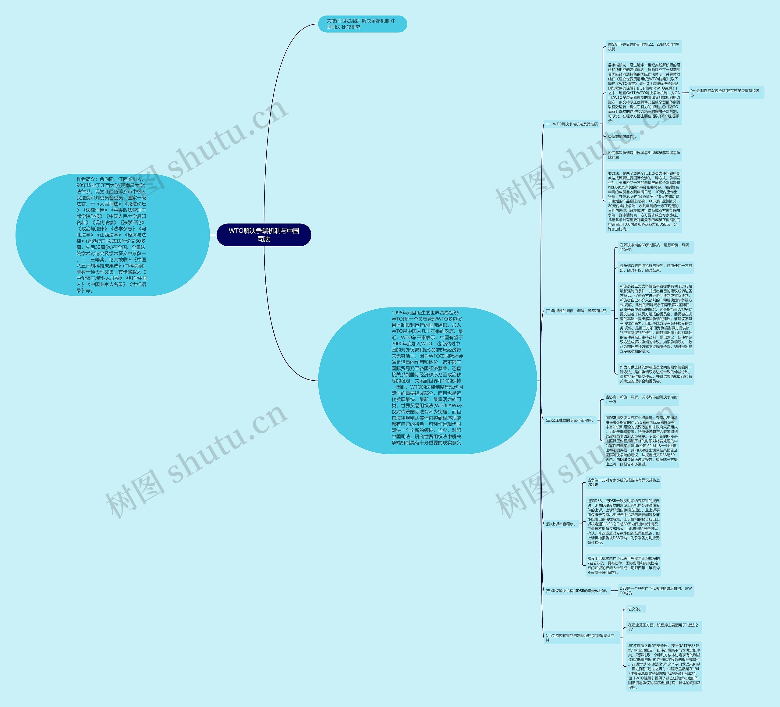 WTO解决争端机制与中国司法 WTO解决争端机制与中国司法