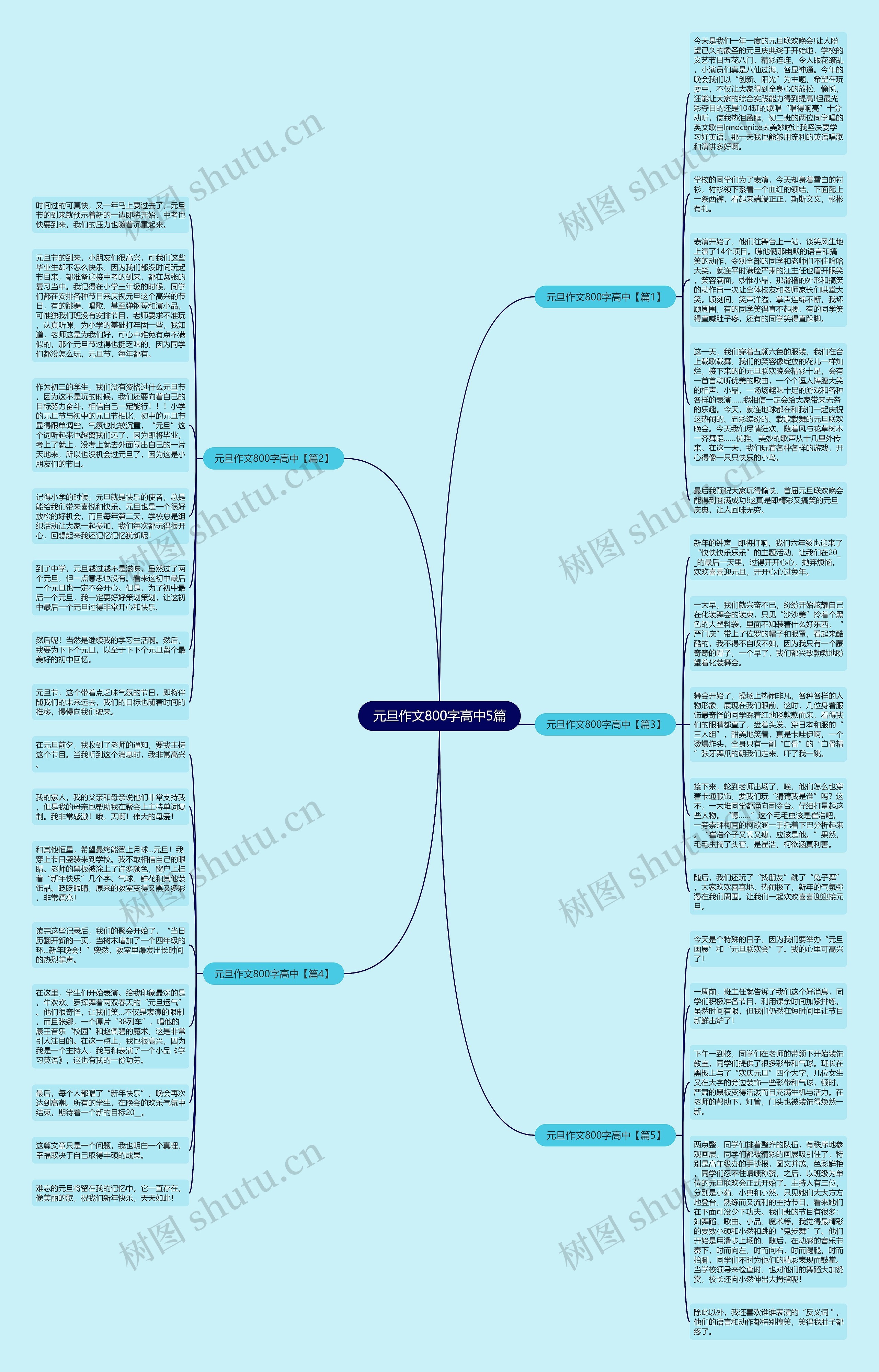元旦作文800字高中5篇思维导图