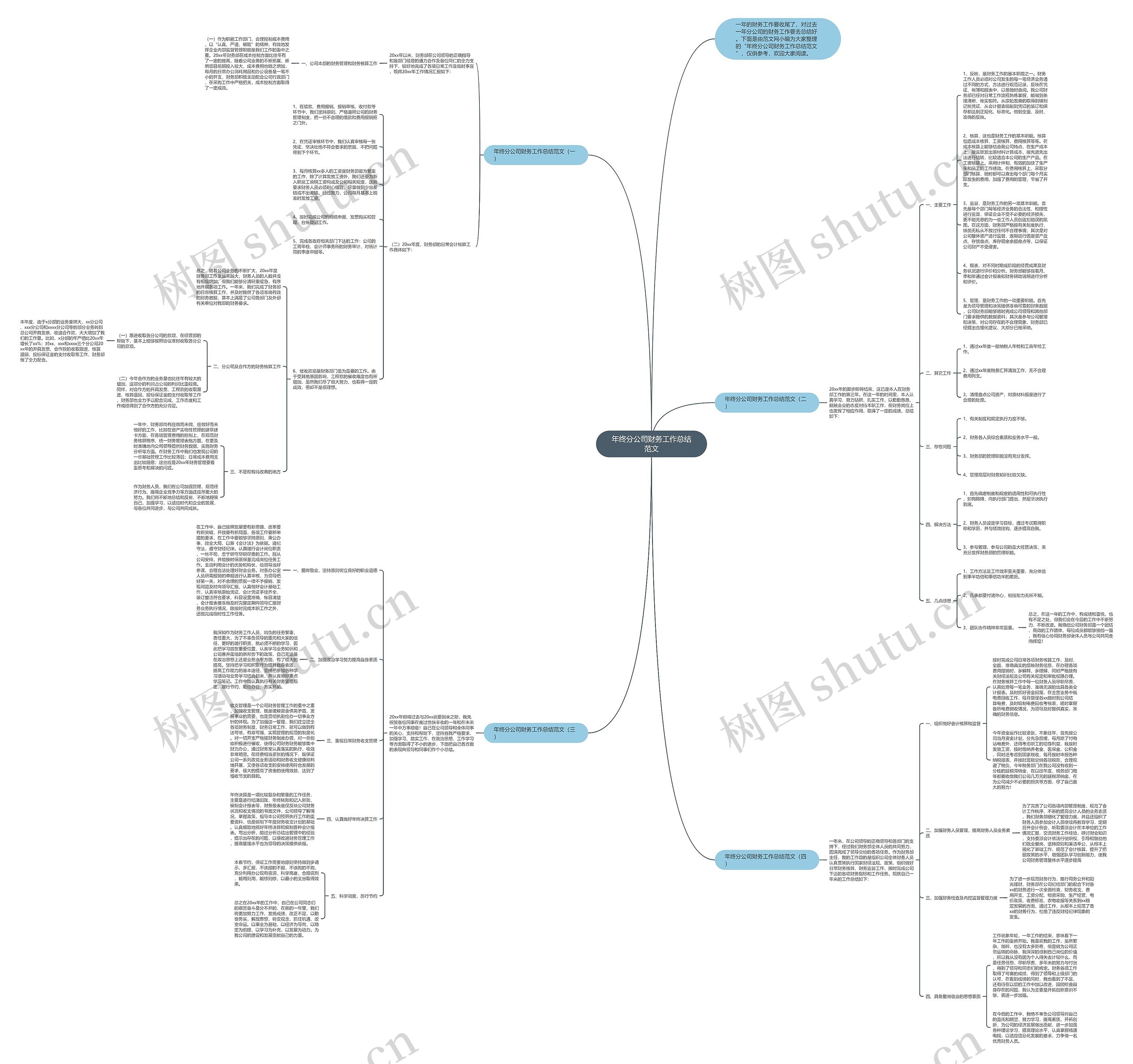 年终分公司财务工作总结范文思维导图