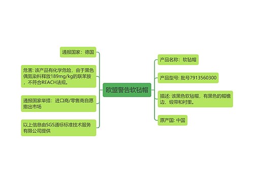 欧盟警告软毡帽