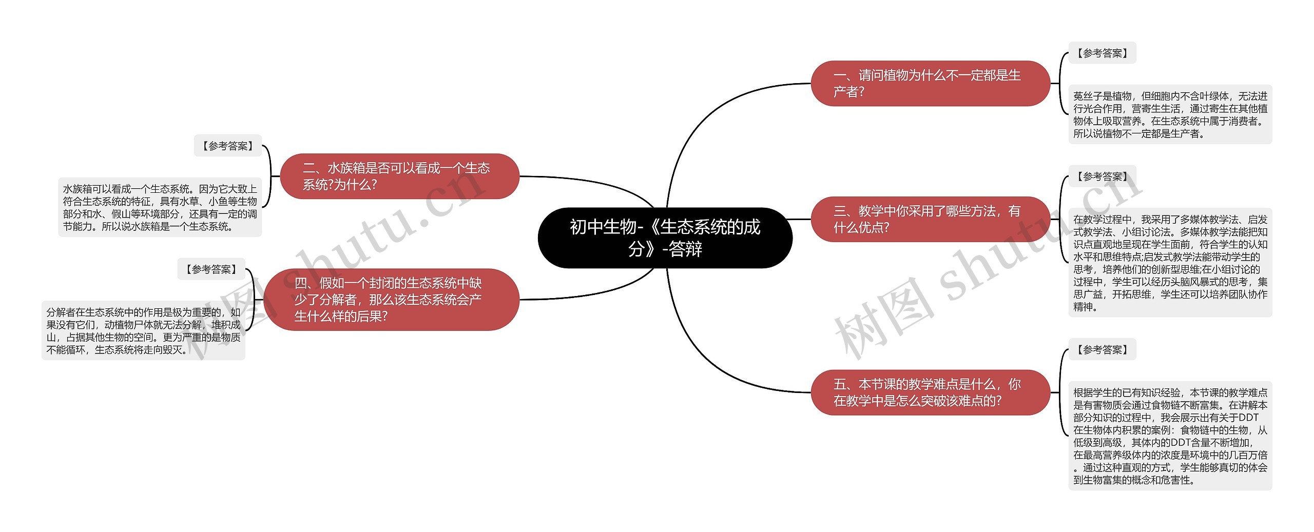 初中生物-《生态系统的成分》-答辩思维导图