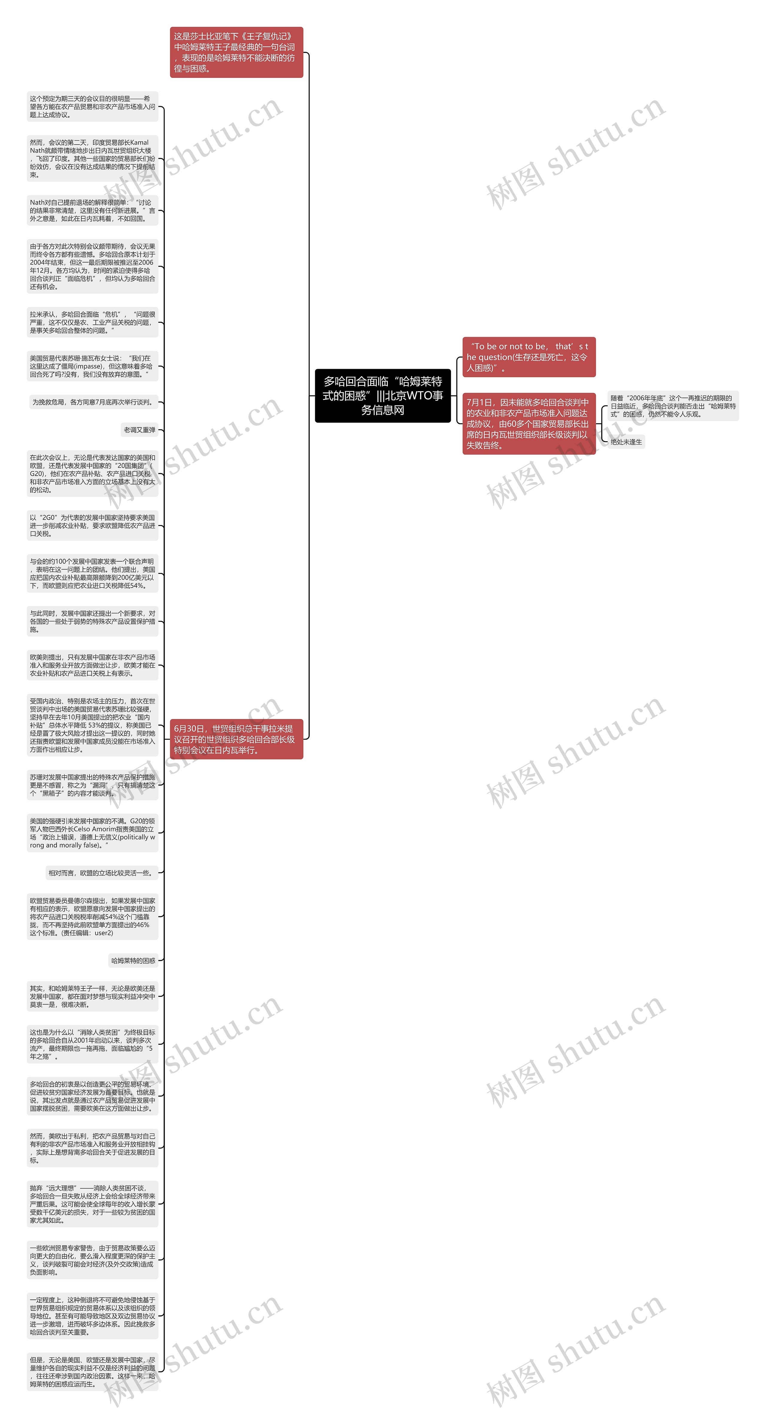 多哈回合面临“哈姆莱特式的困惑”|||北京WTO事务信息网思维导图