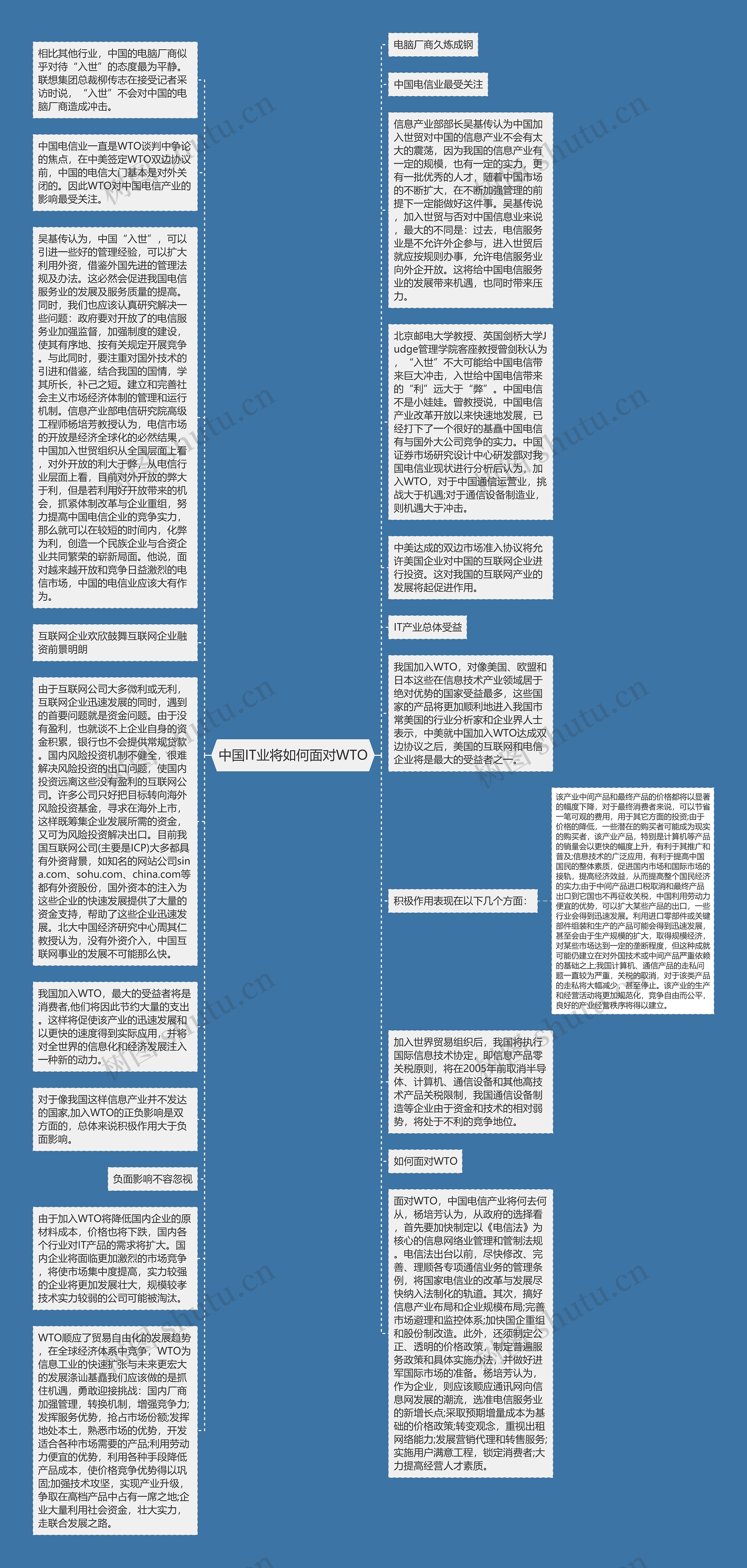 中国IT业将如何面对WTO思维导图