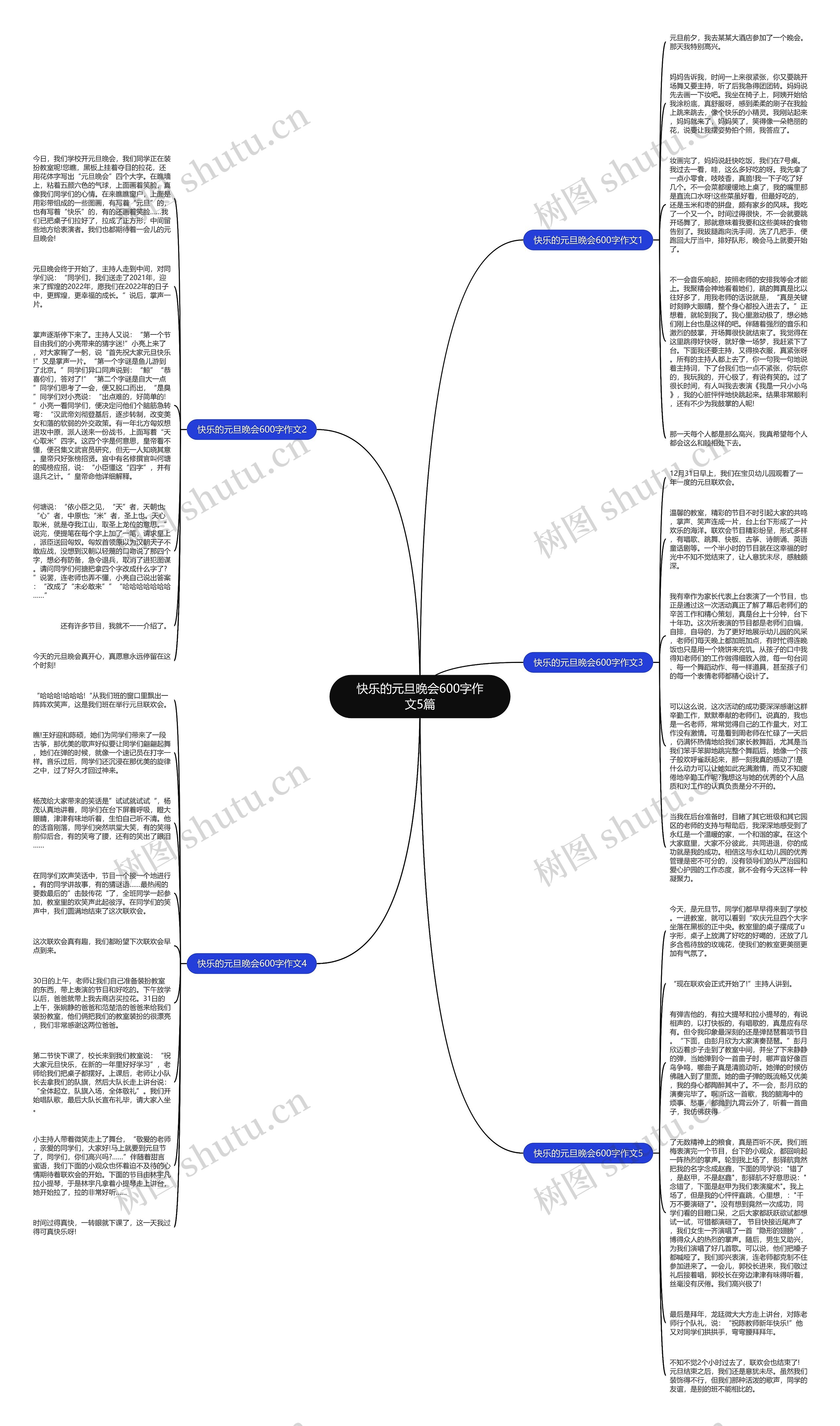 快乐的元旦晚会600字作文5篇思维导图