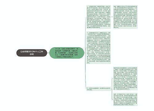 公安民警2012年个人工作总结