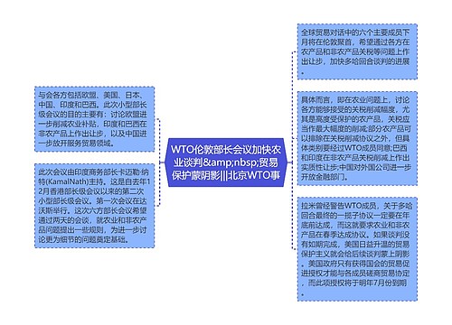 WTO伦敦部长会议加快农业谈判&amp;nbsp;贸易保护蒙阴影|||北京WTO事