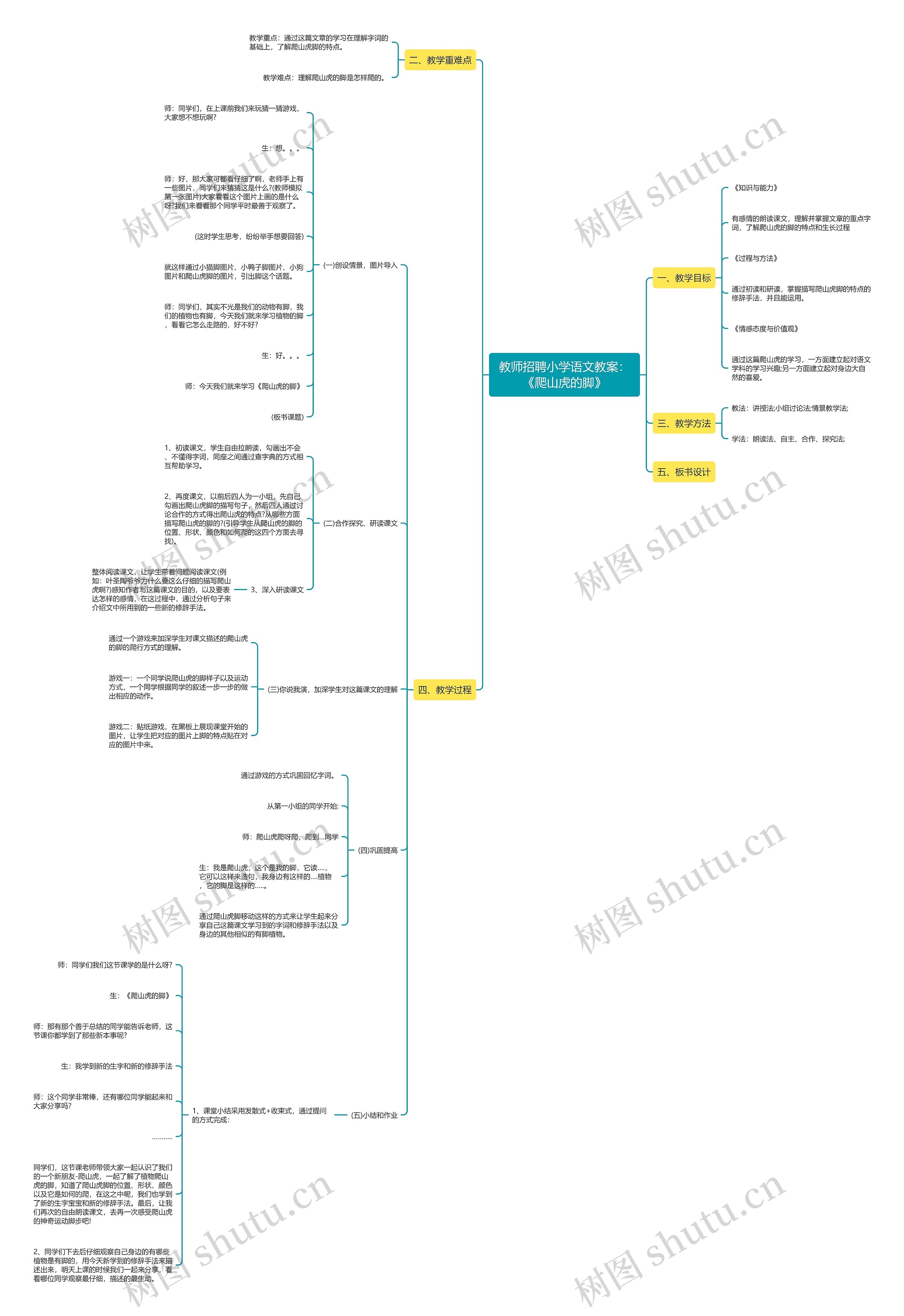 教师招聘小学语文教案：《爬山虎的脚》思维导图