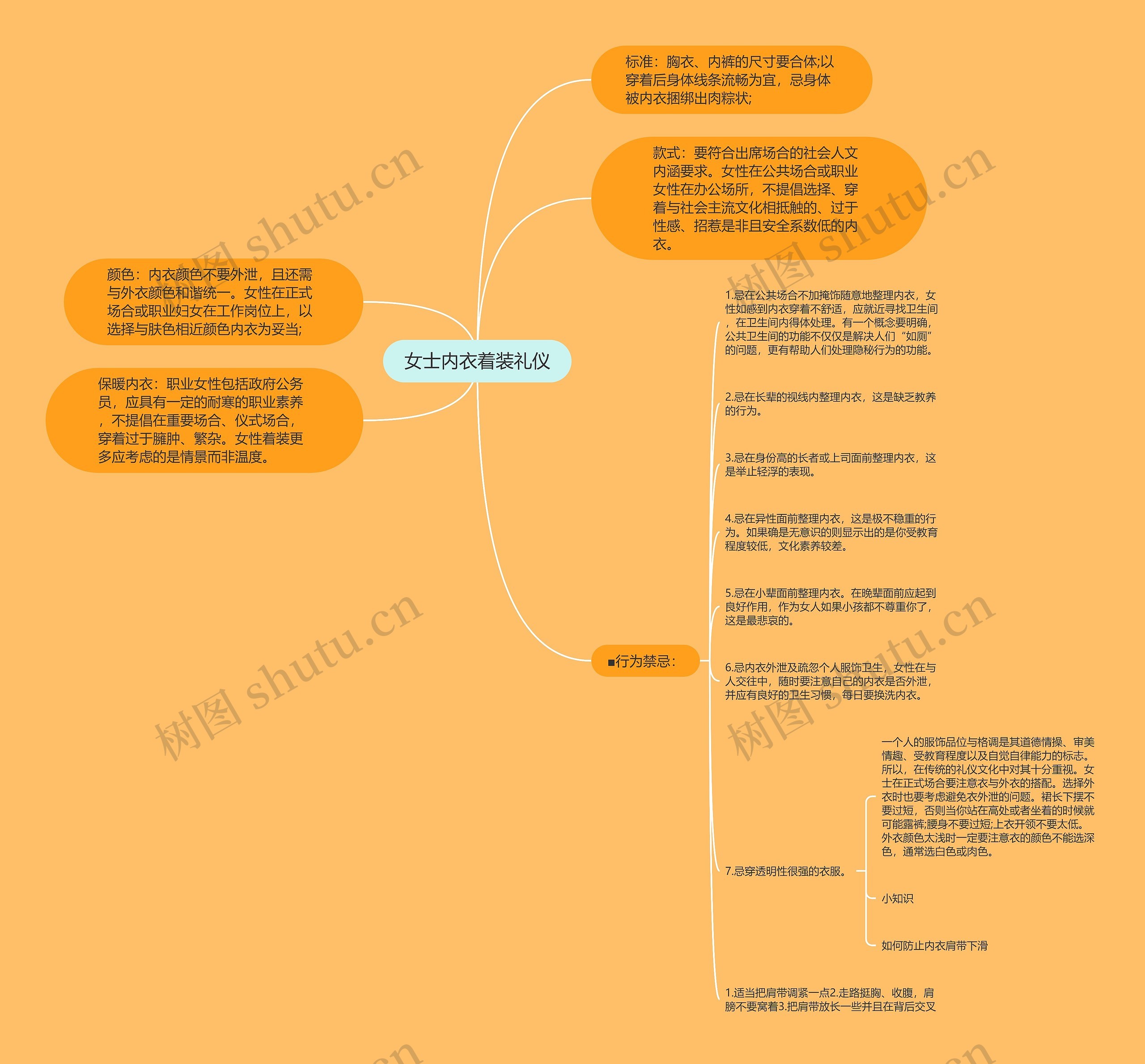 女士内衣着装礼仪思维导图