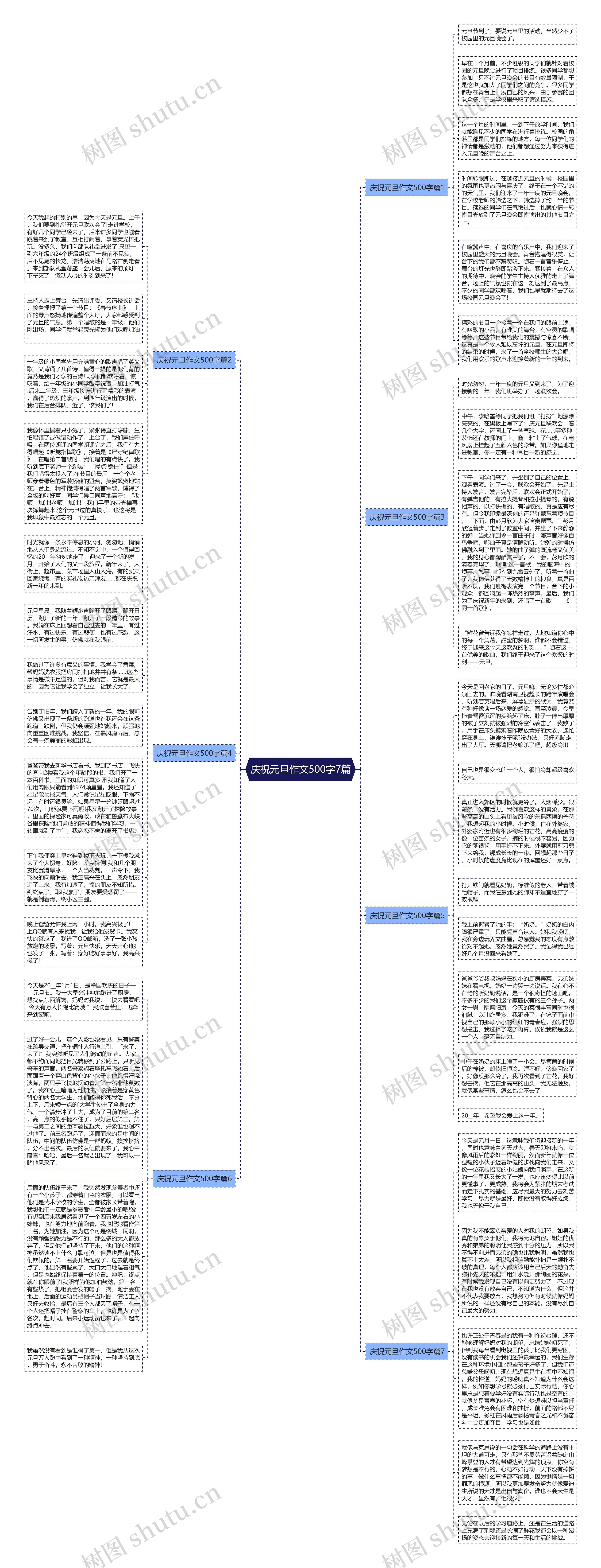 庆祝元旦作文500字7篇思维导图