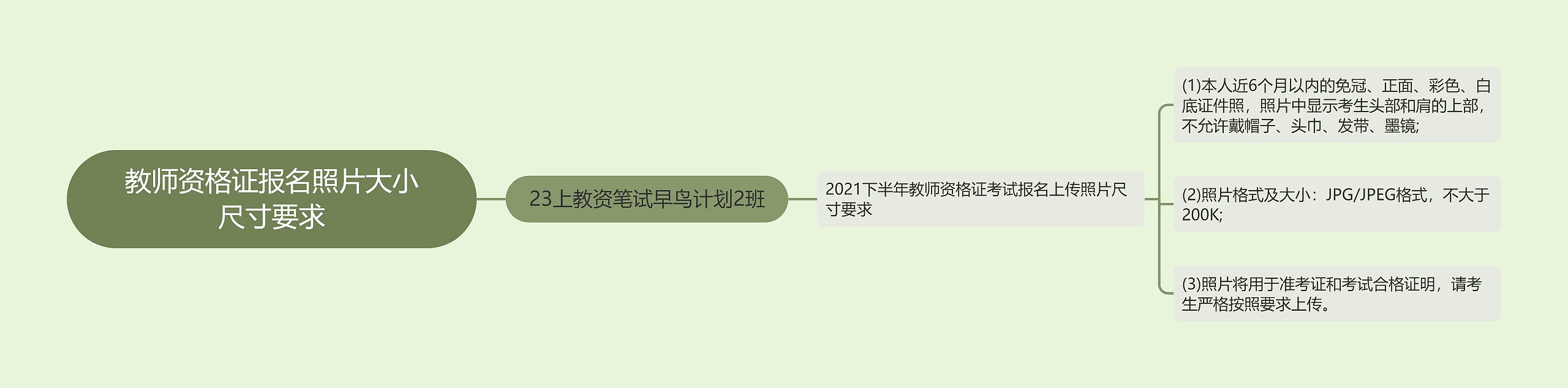 教师资格证报名照片大小尺寸要求