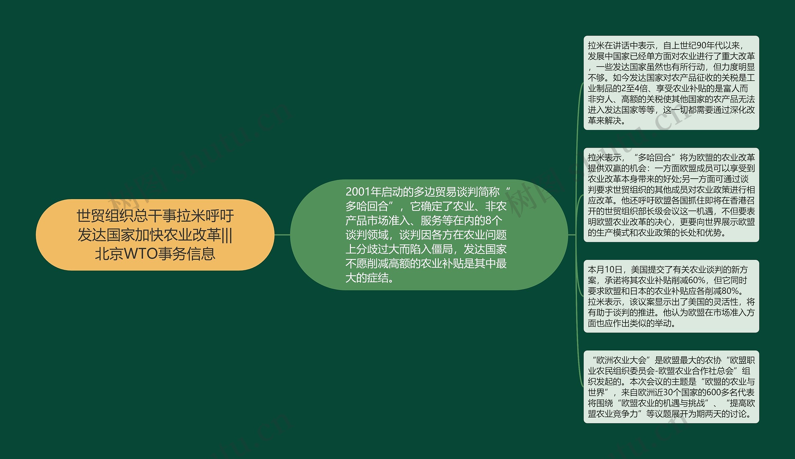 世贸组织总干事拉米呼吁发达国家加快农业改革|||北京WTO事务信息思维导图