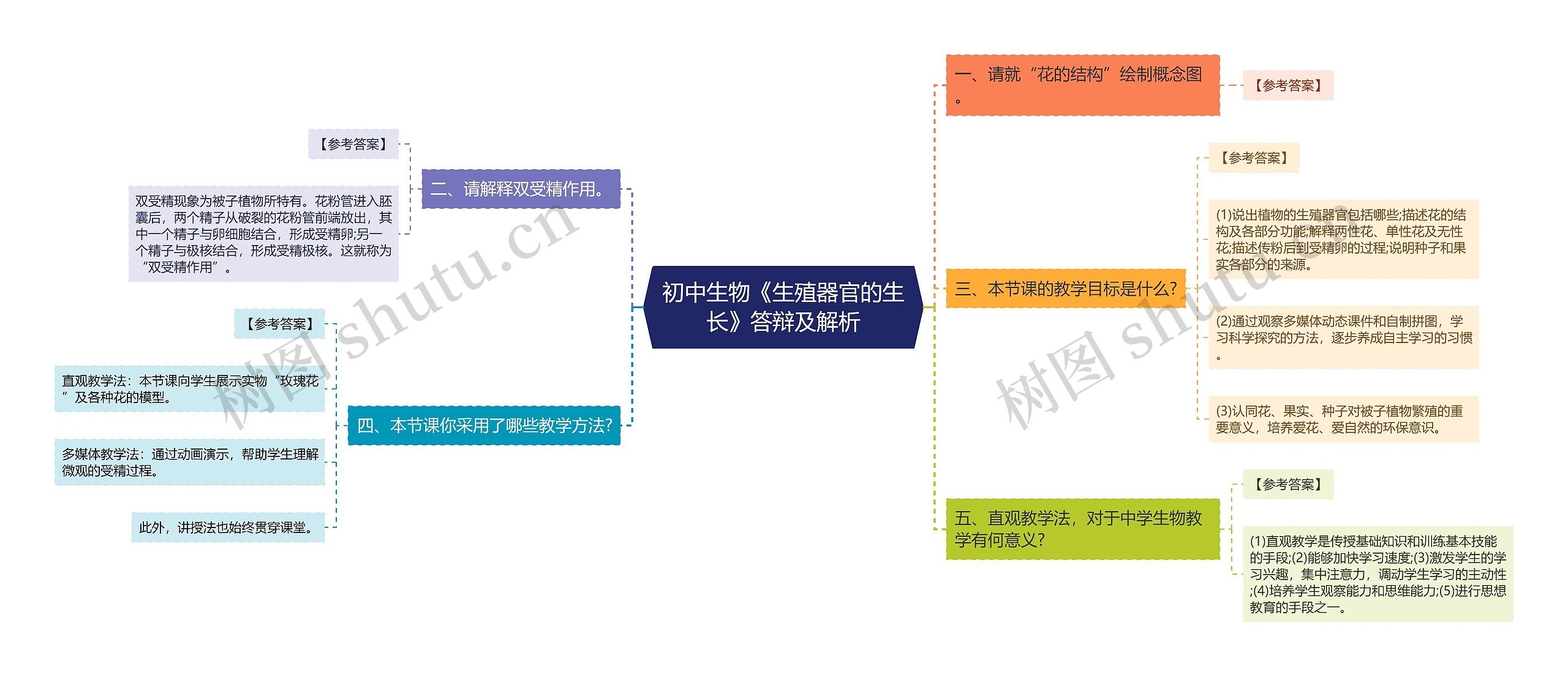 初中生物《生殖器官的生长》答辩及解析思维导图