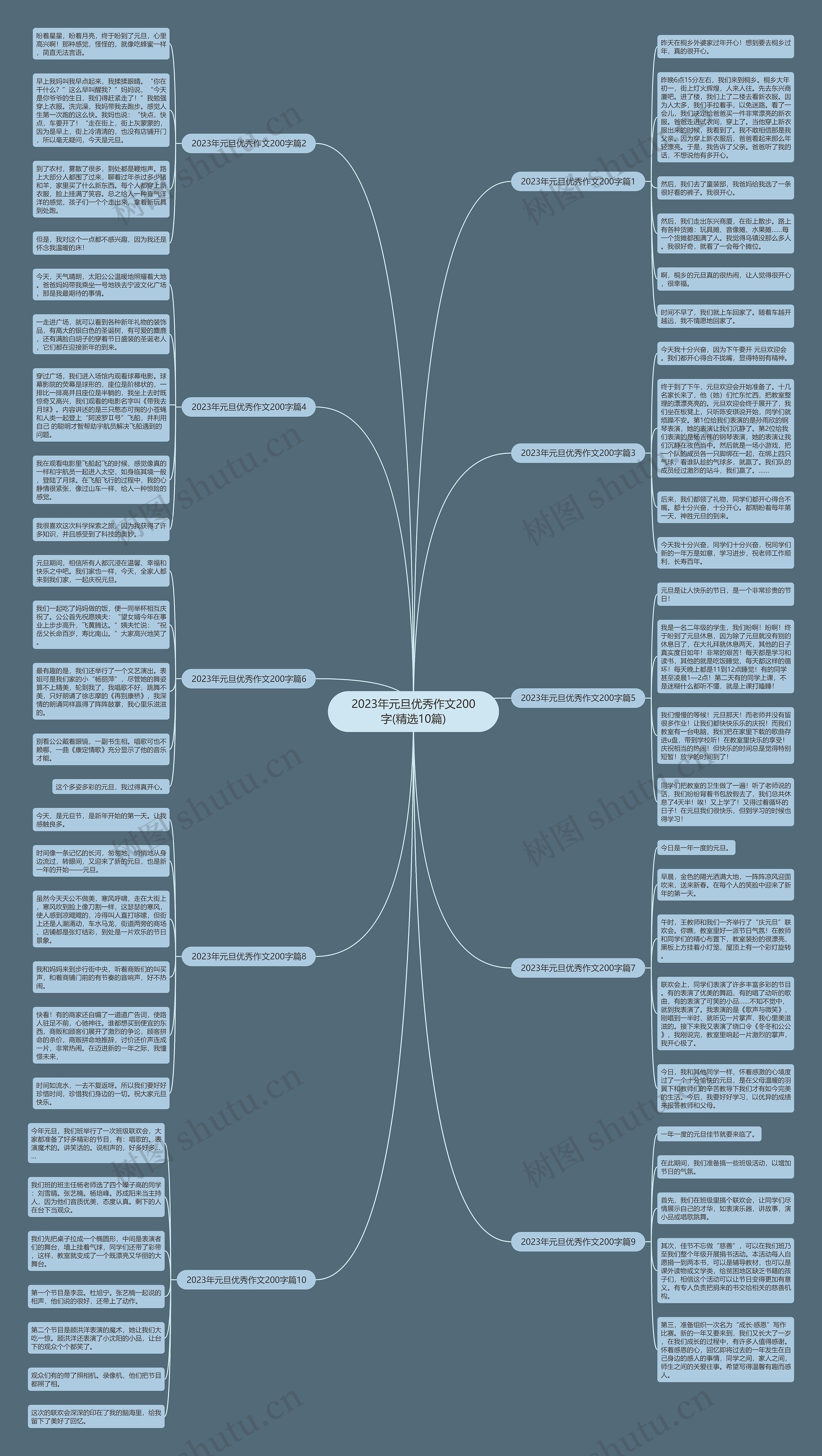 2023年元旦优秀作文200字(精选10篇)思维导图