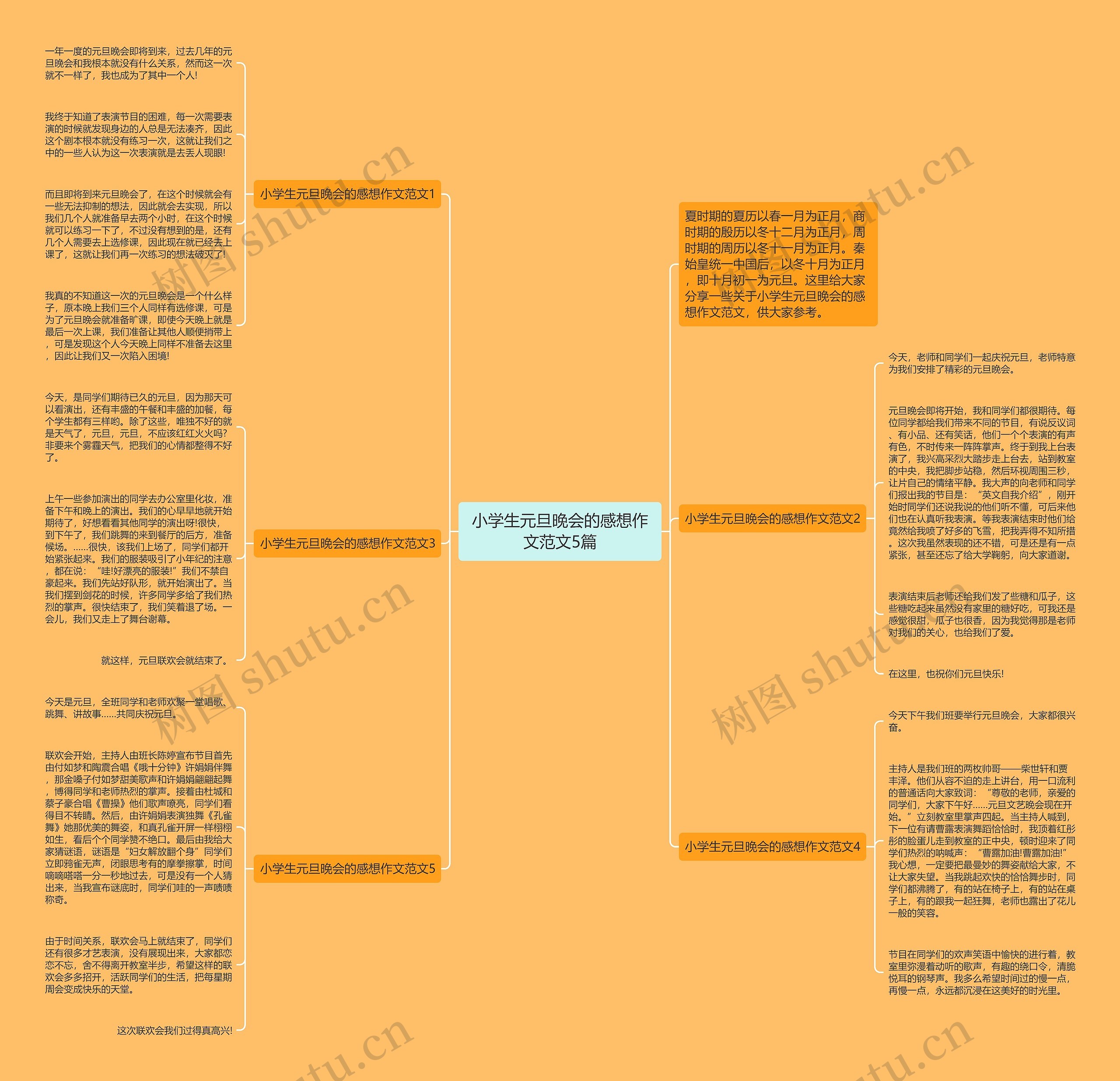 小学生元旦晚会的感想作文范文5篇思维导图