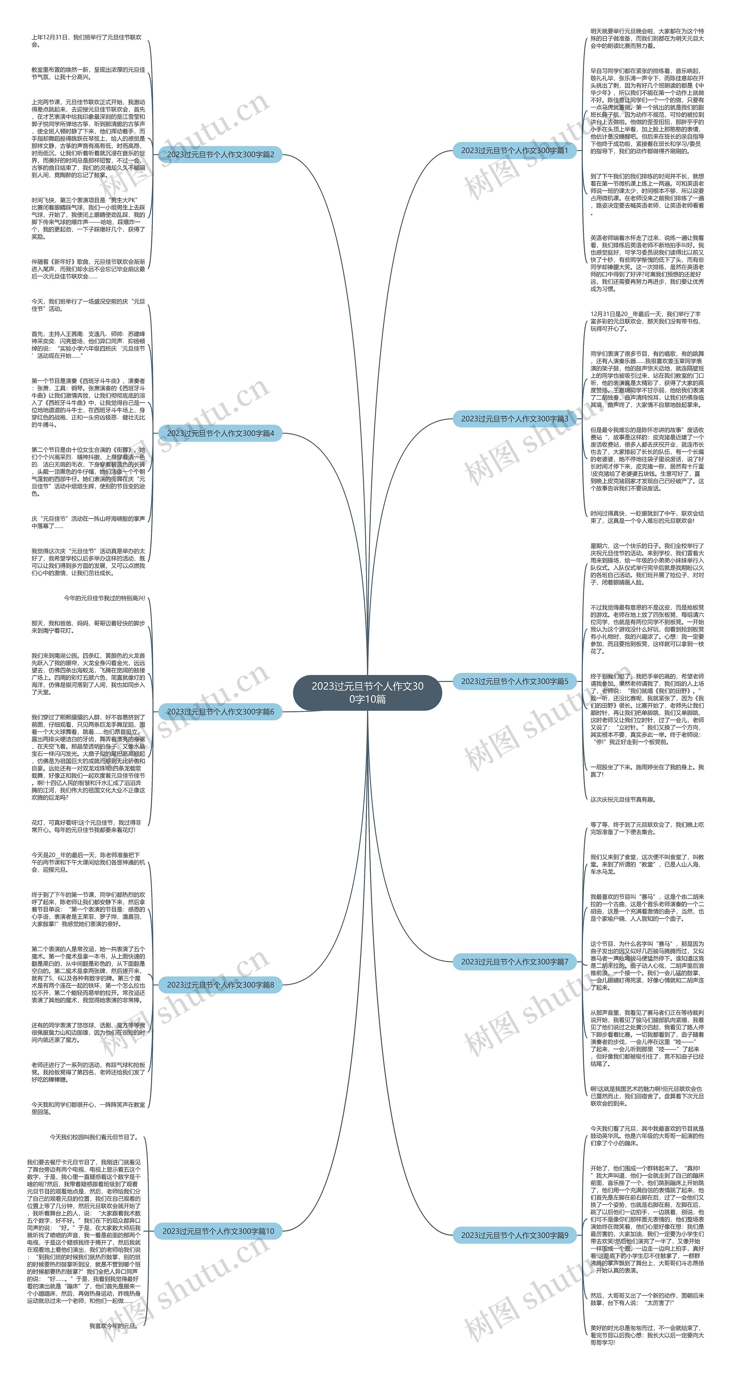 2023过元旦节个人作文300字10篇思维导图