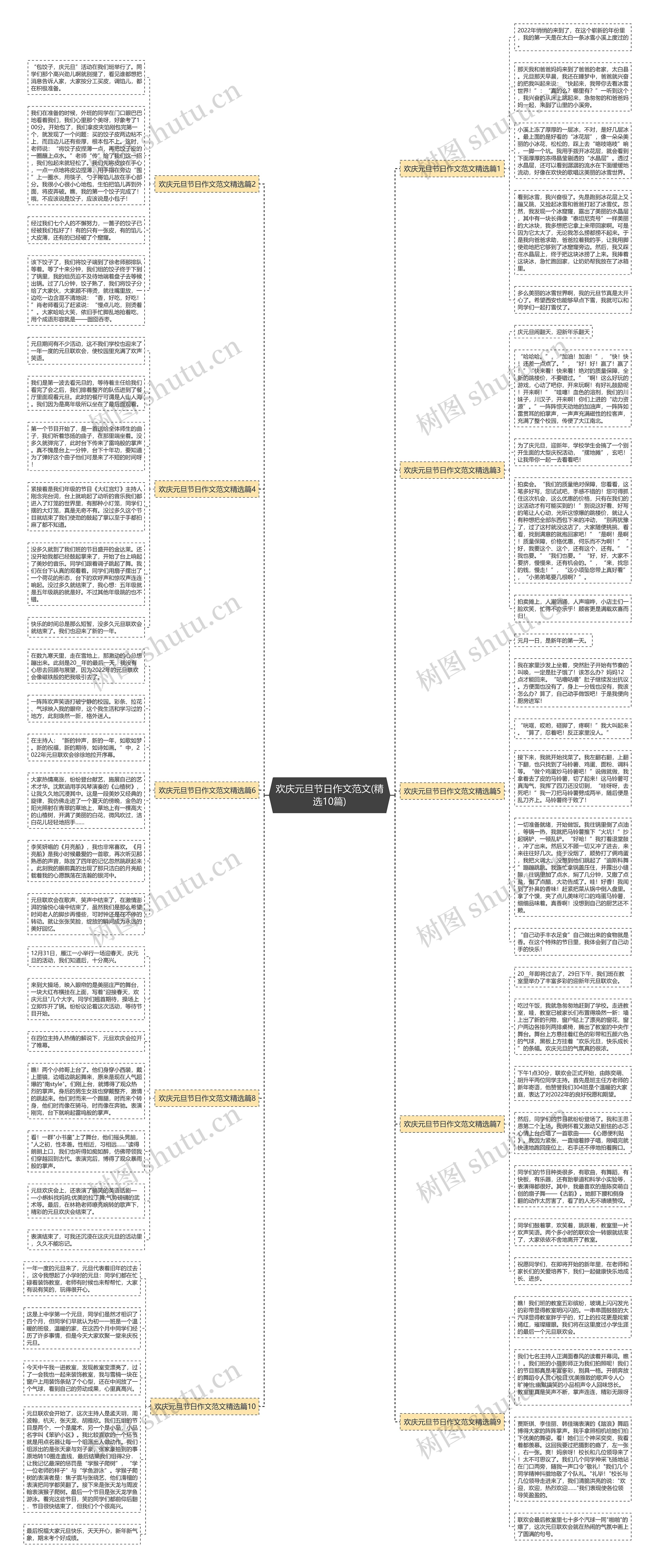 欢庆元旦节日作文范文(精选10篇)思维导图