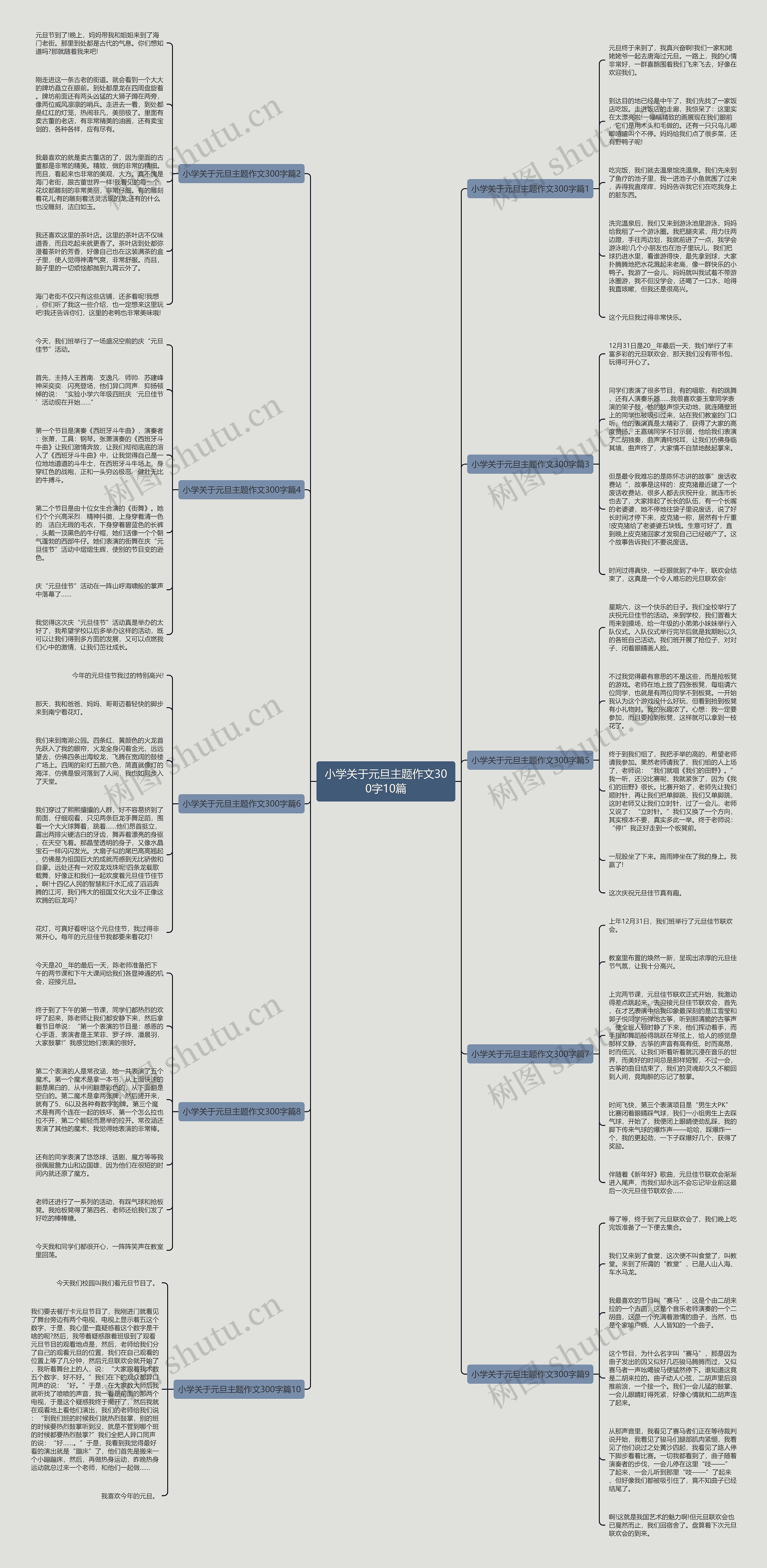 小学关于元旦主题作文300字10篇思维导图