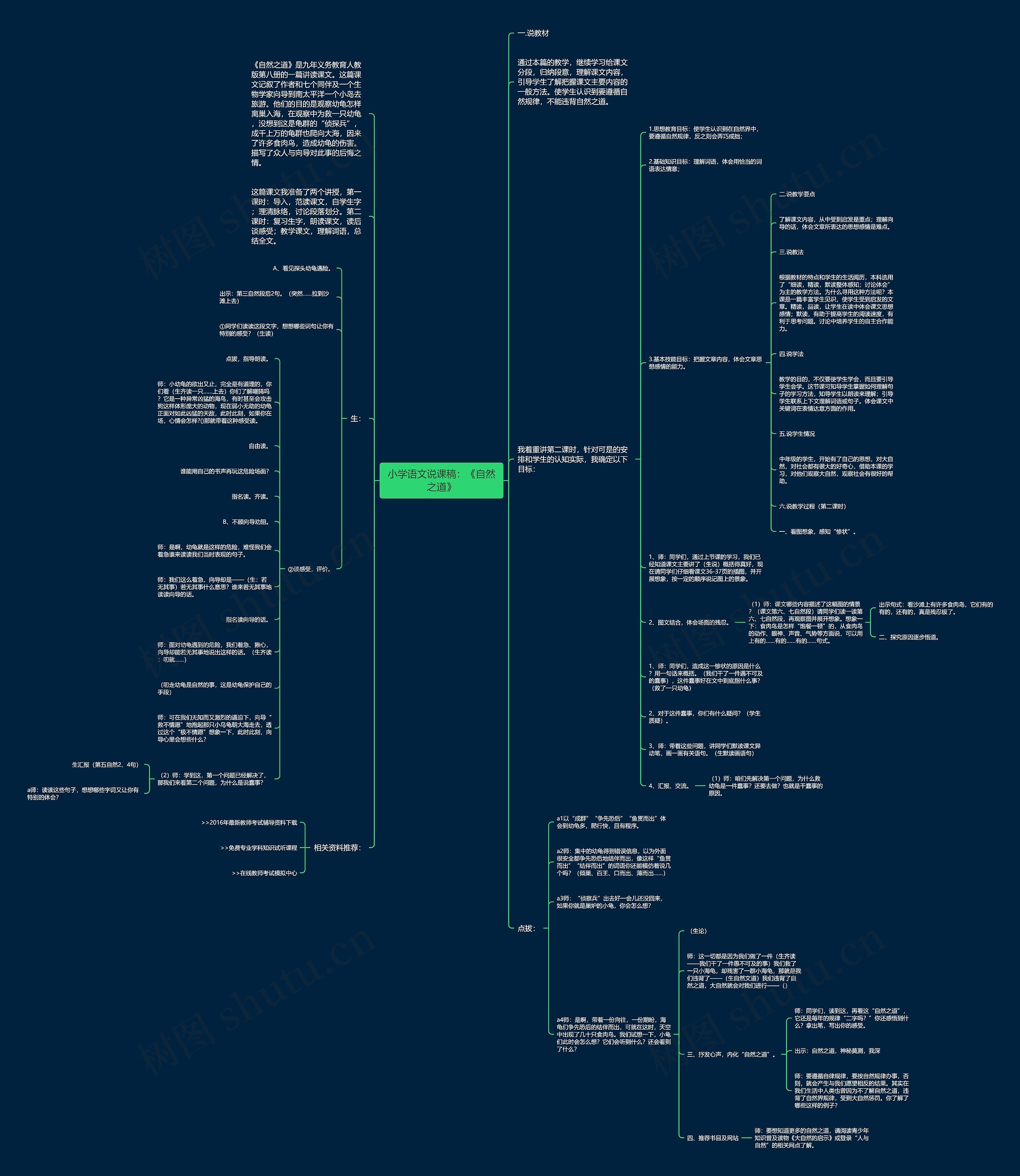 小学语文说课稿：《自然之道》思维导图