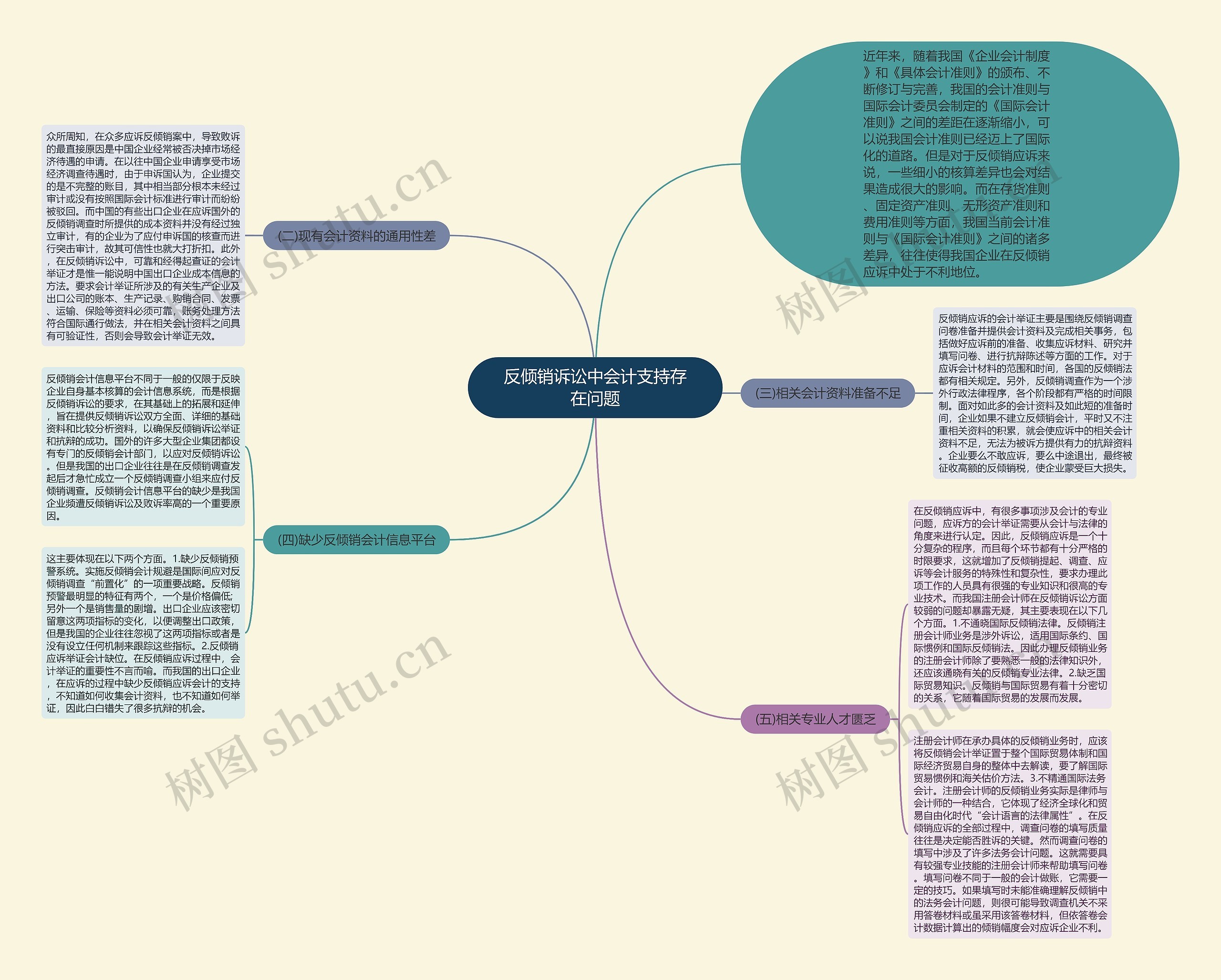 反倾销诉讼中会计支持存在问题思维导图