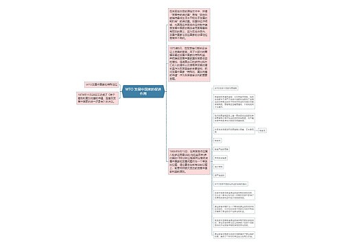 WTO 发展中国家的促进作用