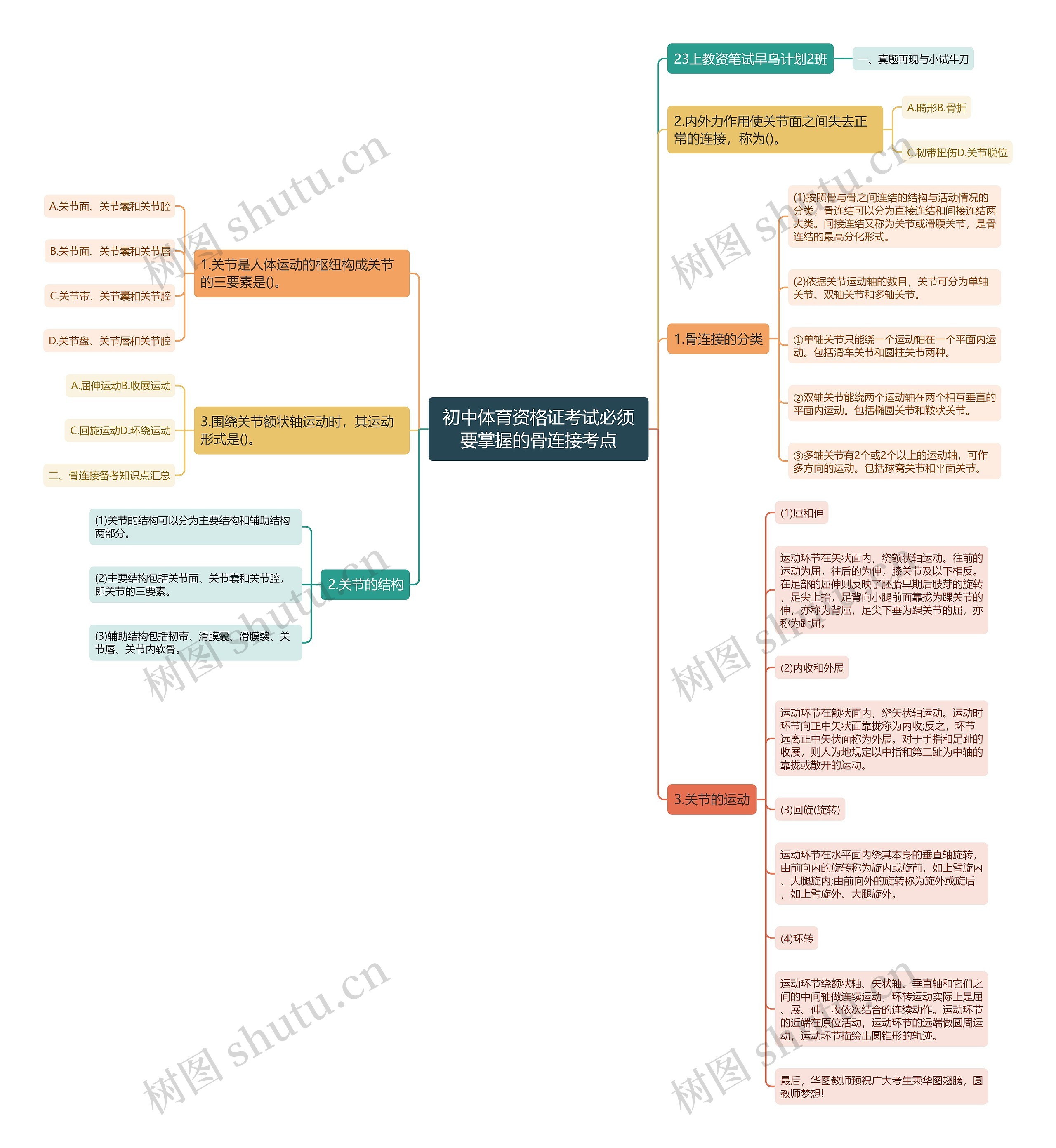 初中体育资格证考试必须要掌握的骨连接考点