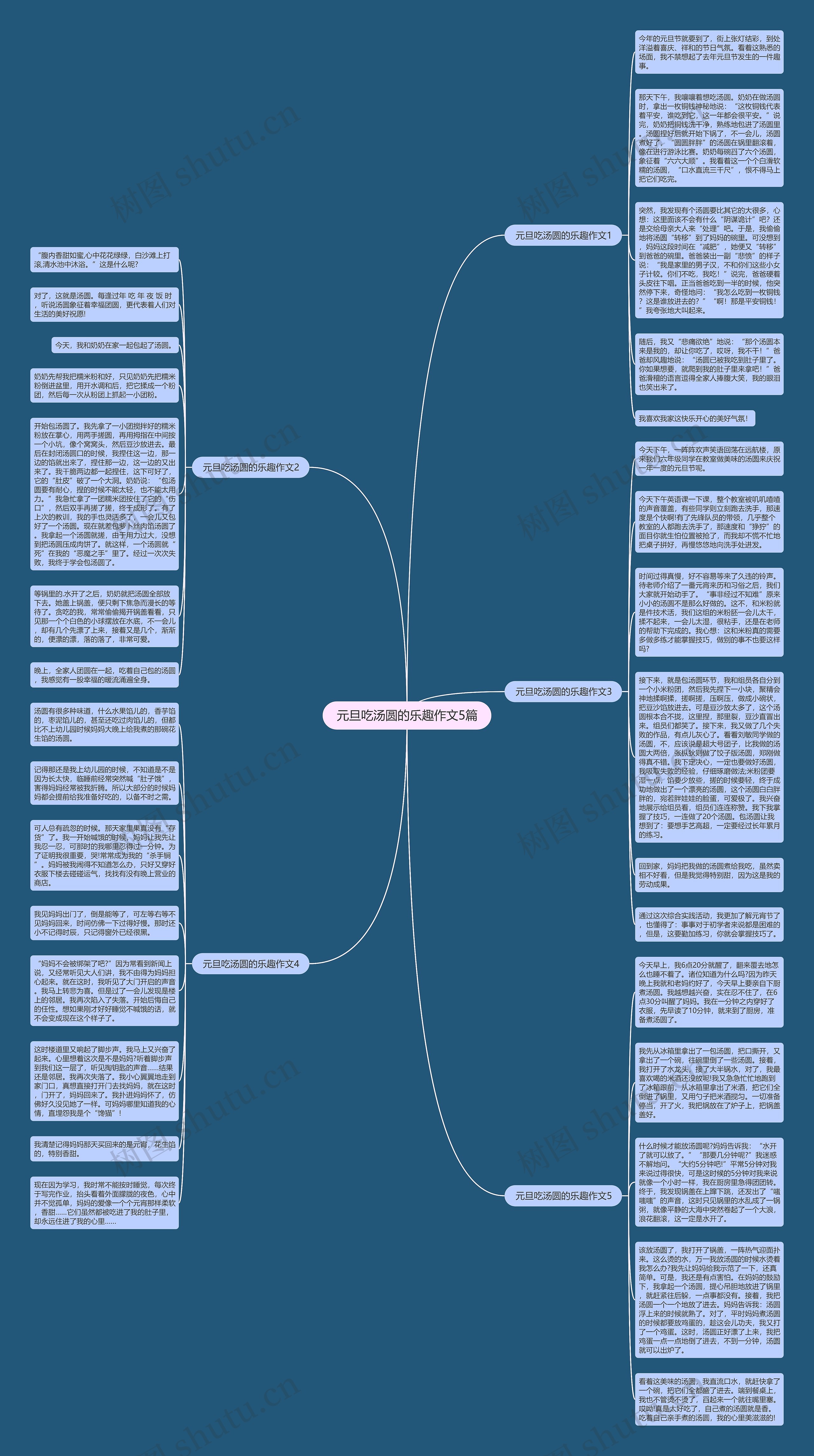 元旦吃汤圆的乐趣作文5篇思维导图