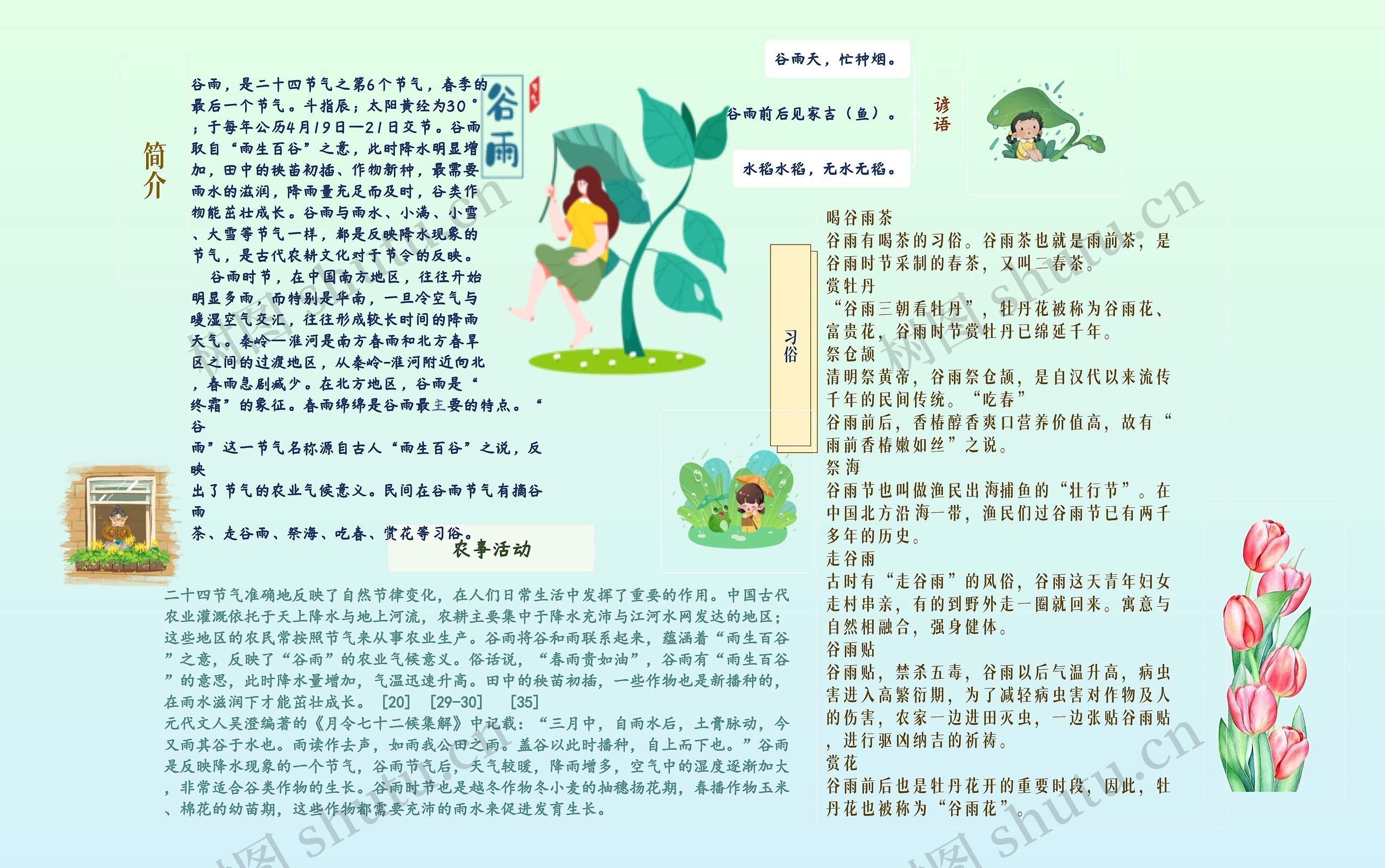 谷雨手抄报