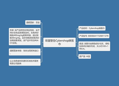 欧盟警告Cybershop牌围巾