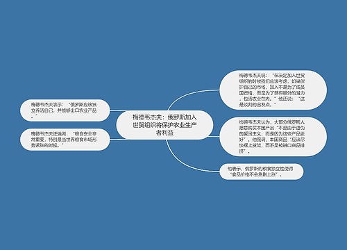 梅德韦杰夫：俄罗斯加入世贸组织将保护农业生产者利益