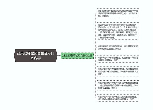 音乐老师教师资格证考什么内容