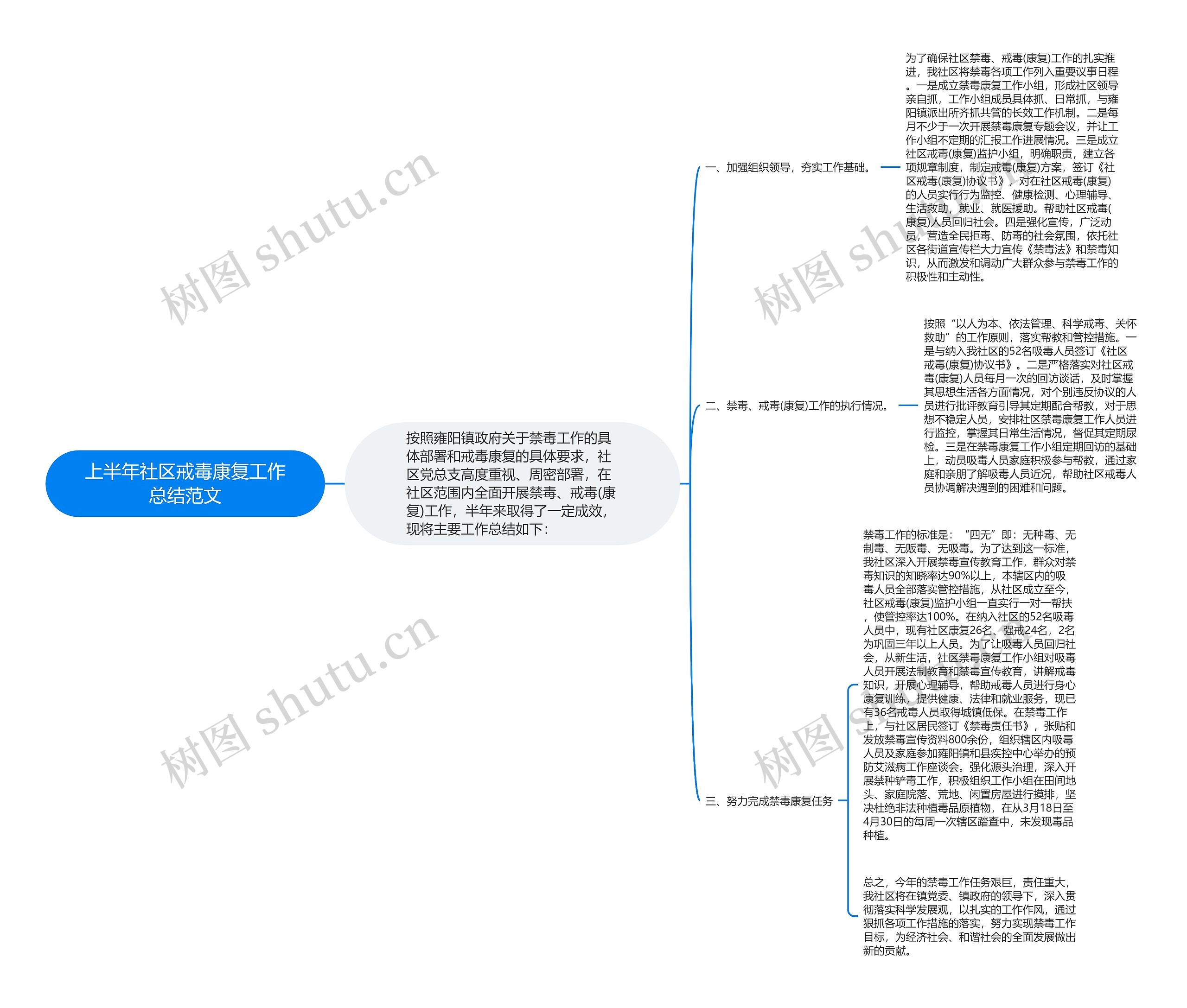 上半年社区戒毒康复工作总结范文思维导图