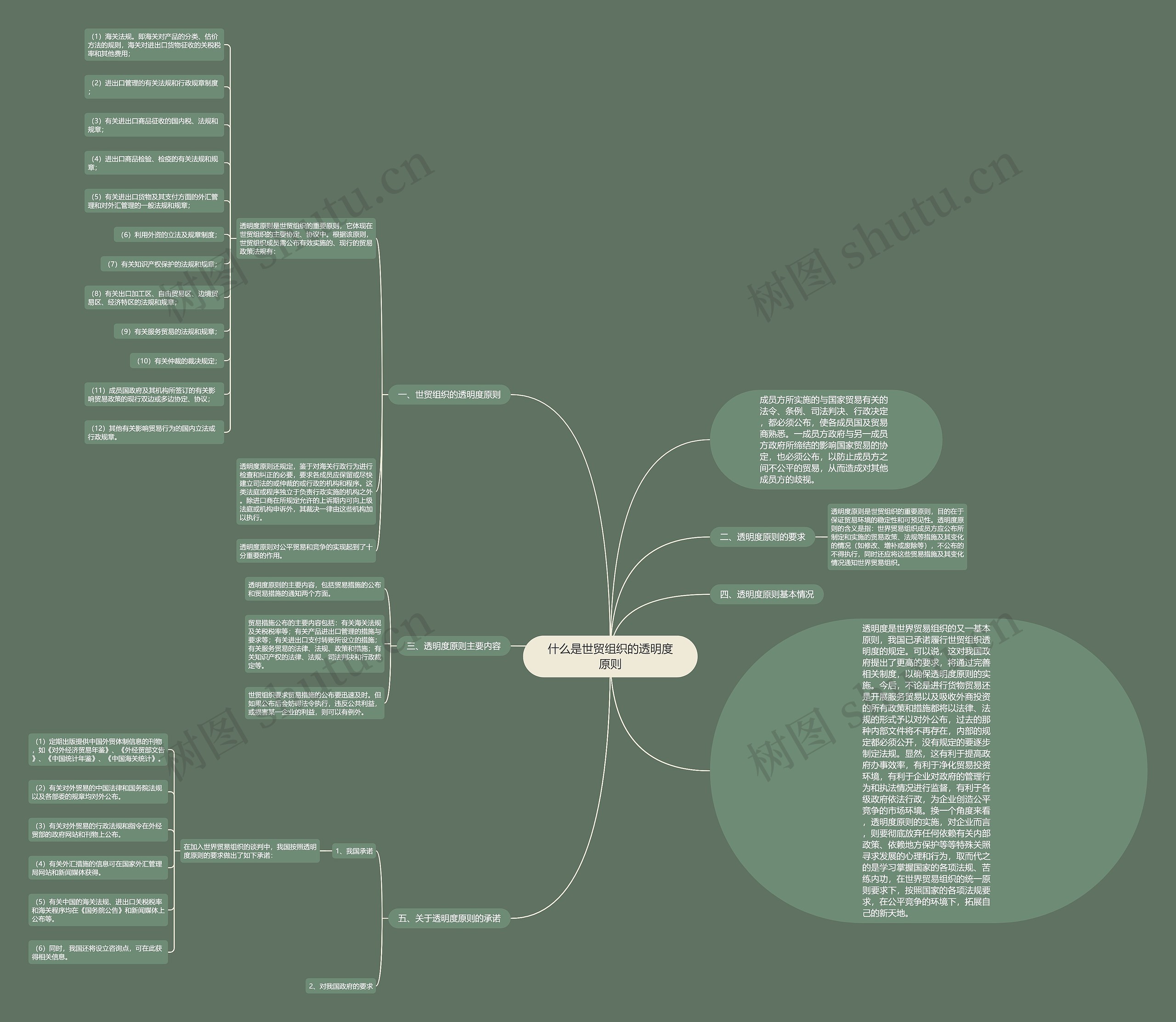 什么是世贸组织的透明度原则思维导图