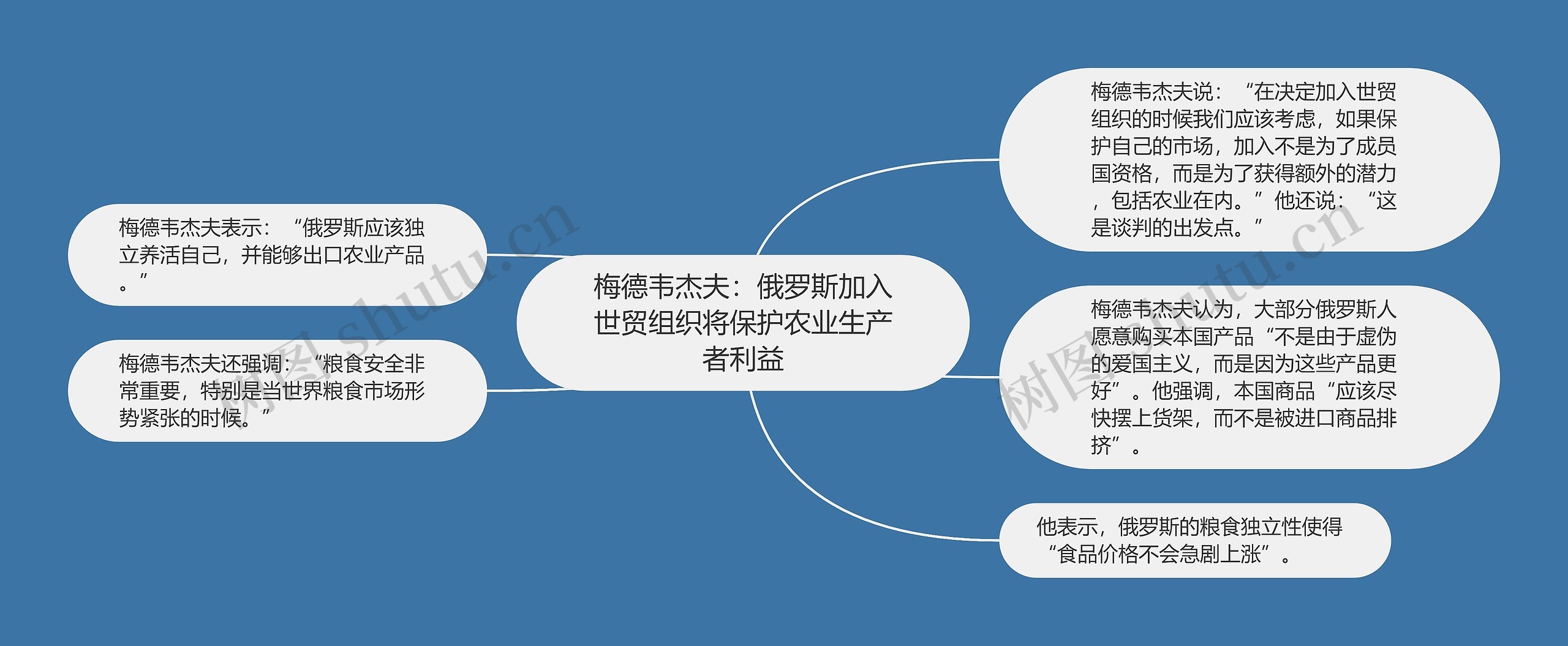 梅德韦杰夫：俄罗斯加入世贸组织将保护农业生产者利益