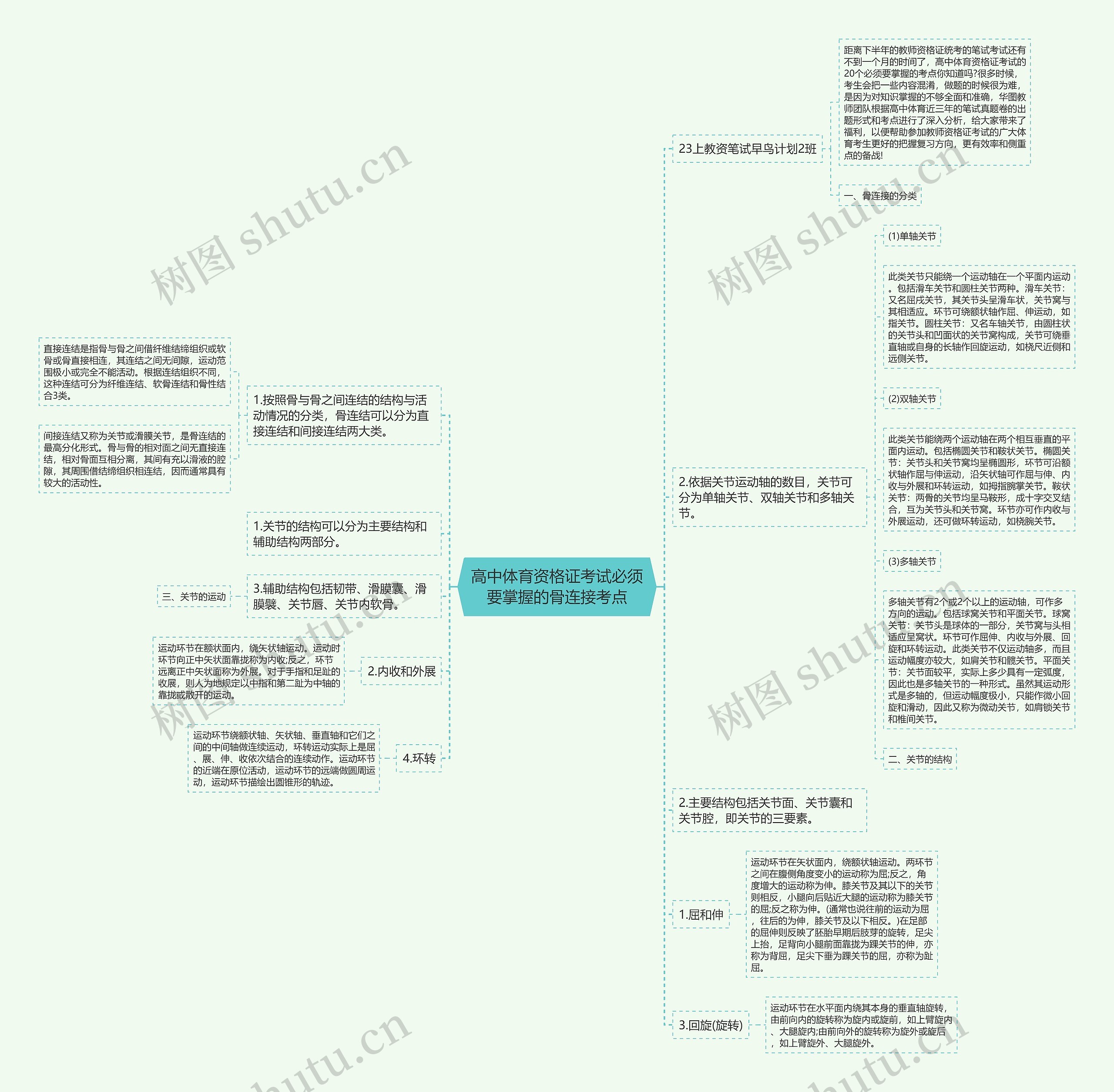 高中体育资格证考试必须要掌握的骨连接考点思维导图