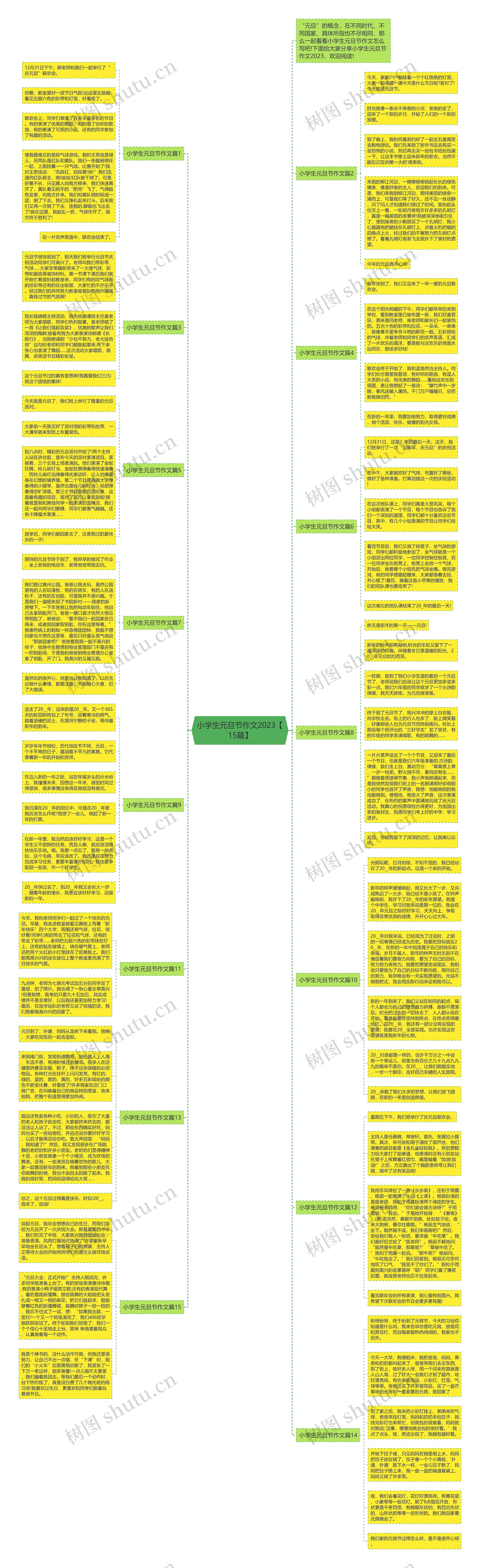 小学生元旦节作文2023【15篇】思维导图