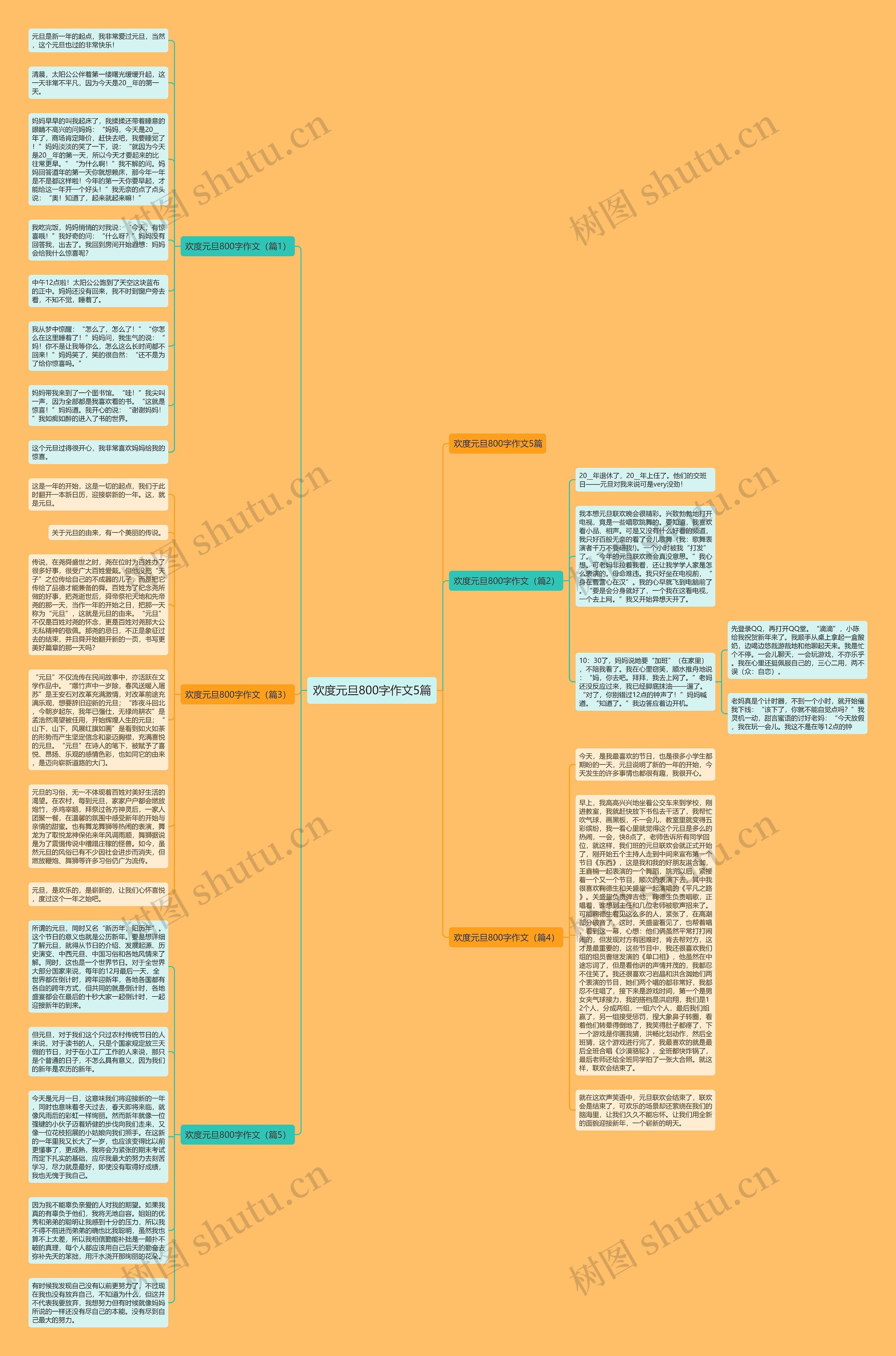 欢度元旦800字作文5篇思维导图