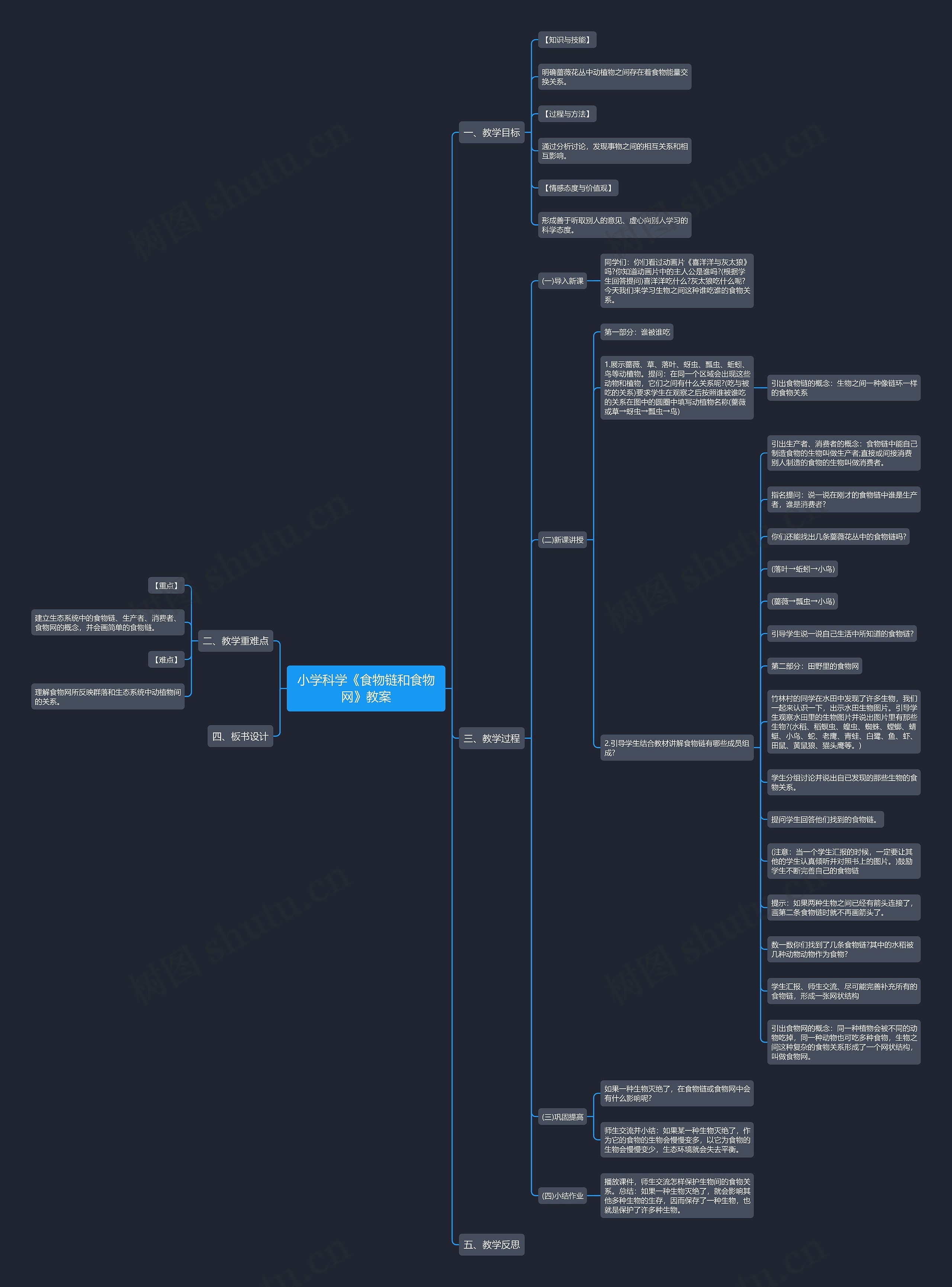 小学科学《食物链和食物网》教案思维导图