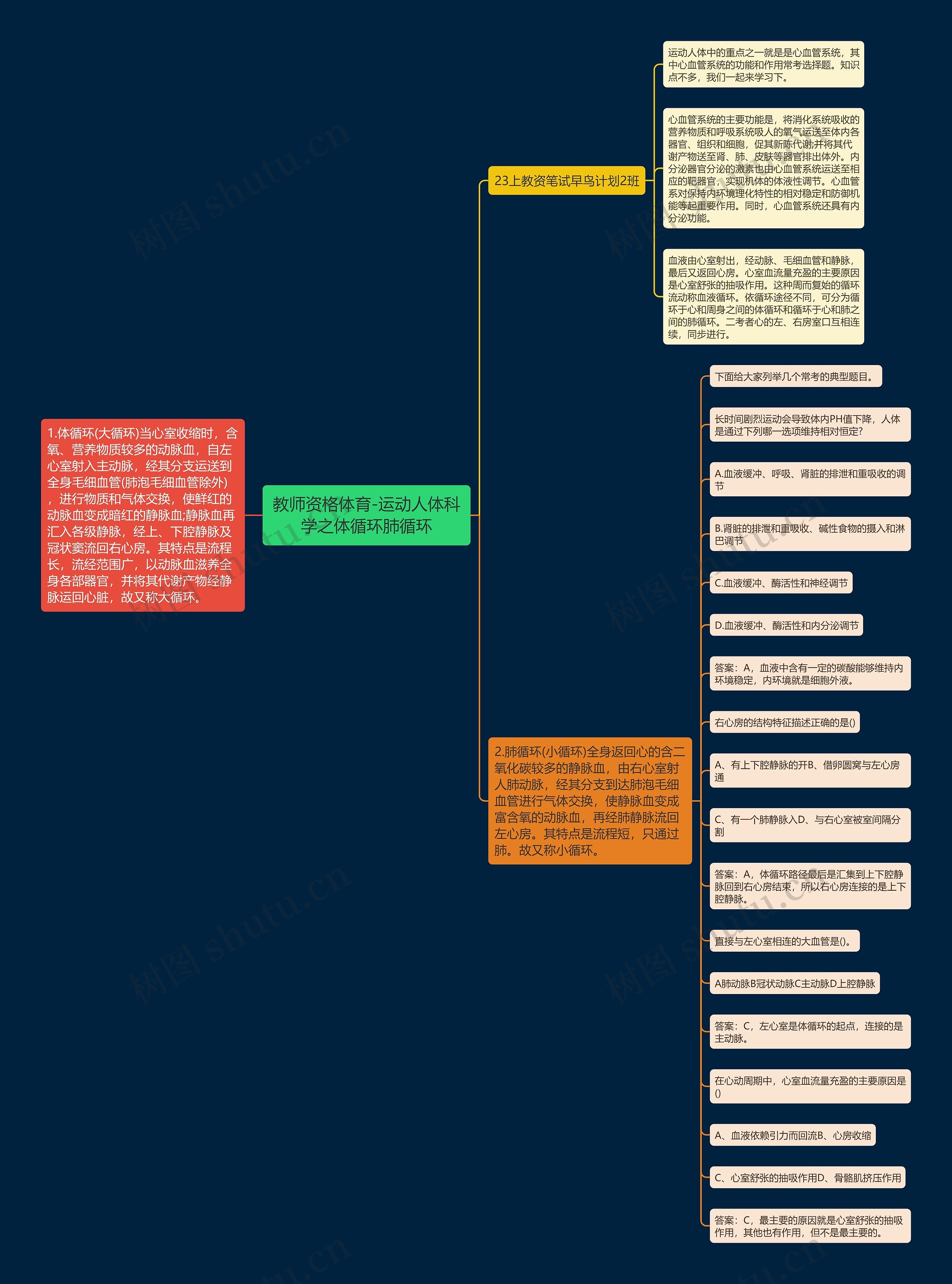 教师资格体育-运动人体科学之体循环肺循环